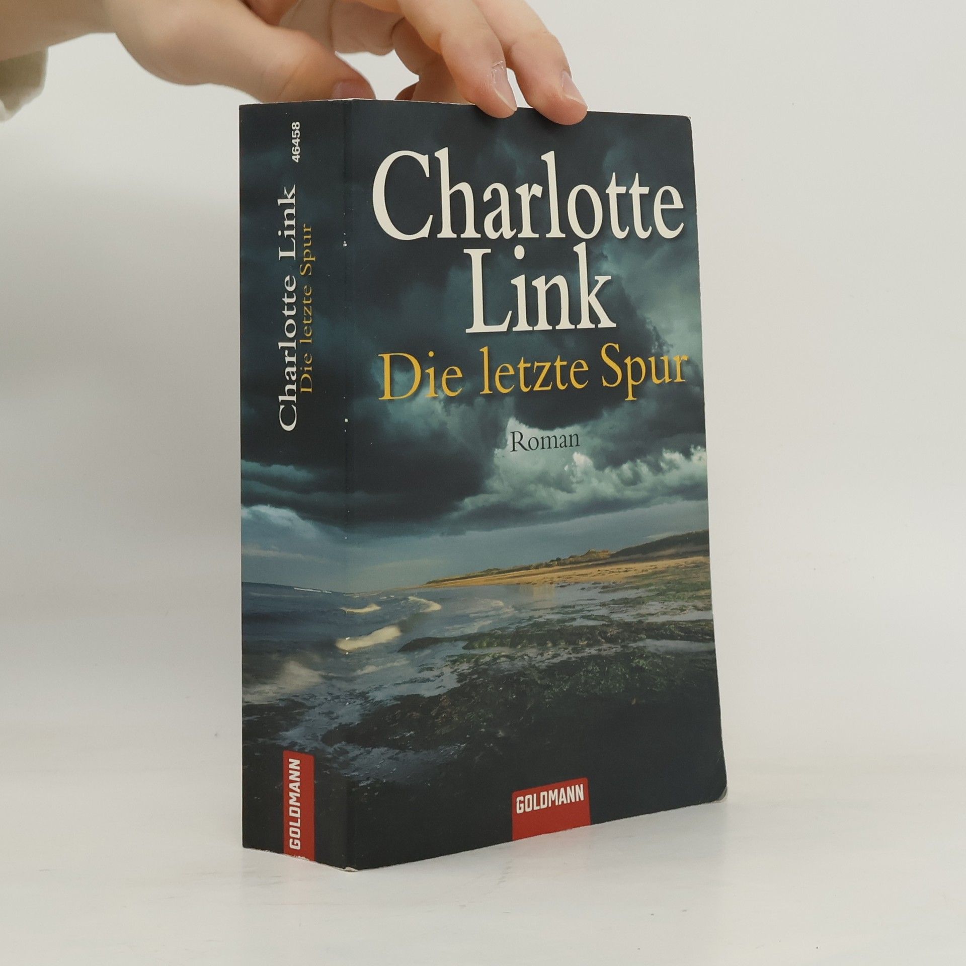 Charlotte Link Die letzte Spur