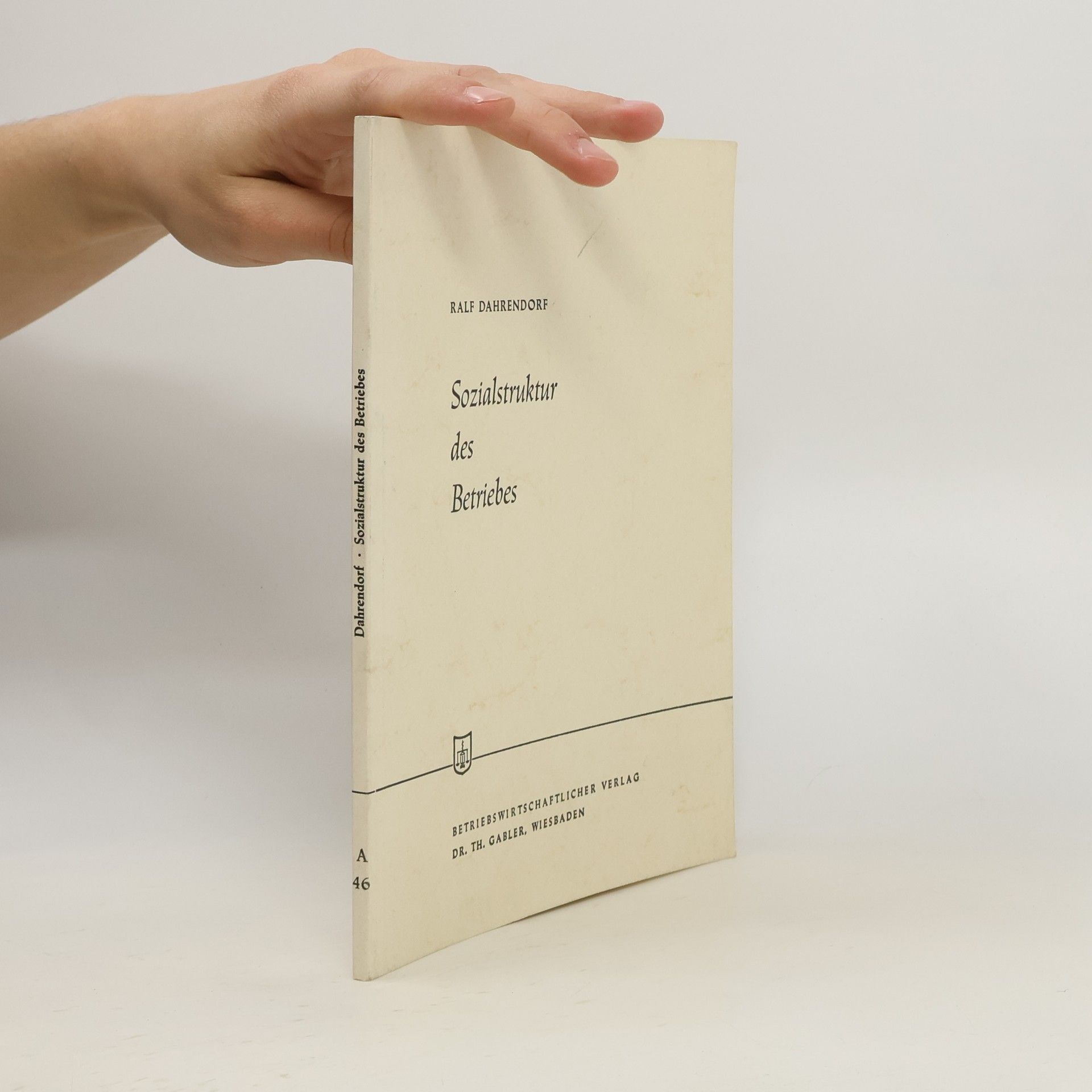 Ralf Dahrendorf Sozialstruktur des Betriebes