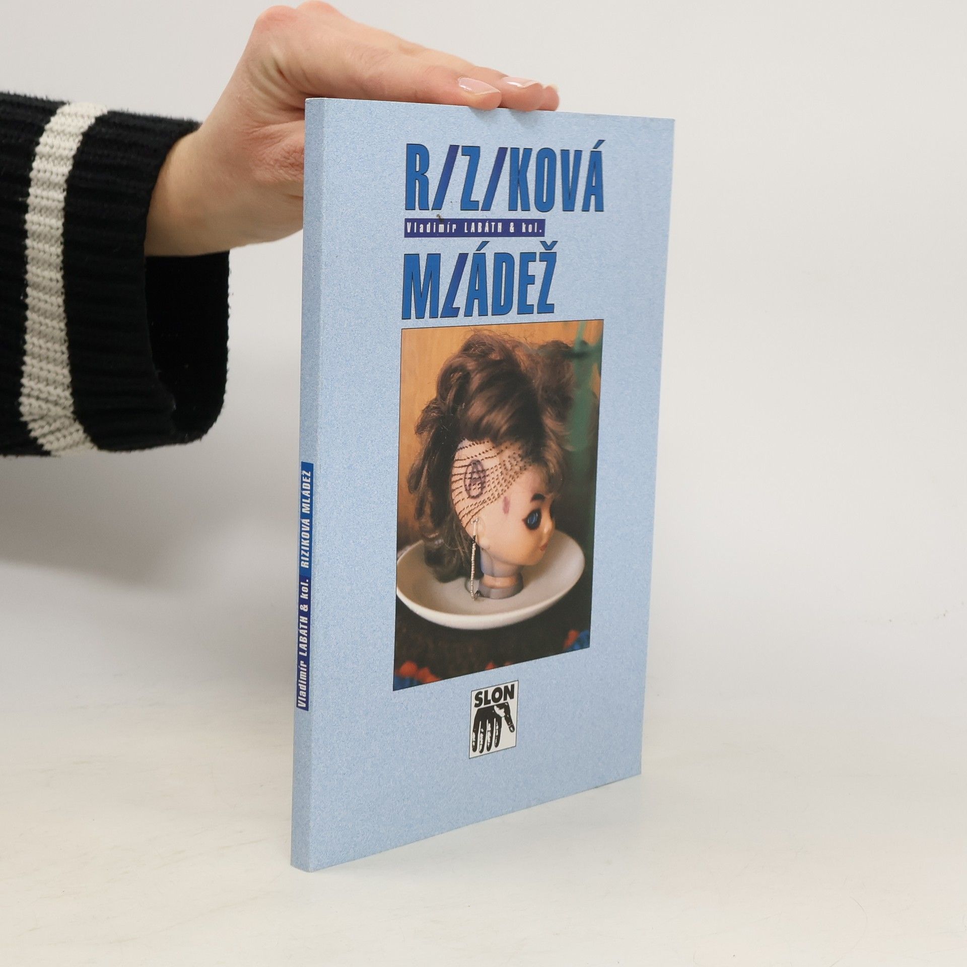 Vladimír Labáth Riziková mládež