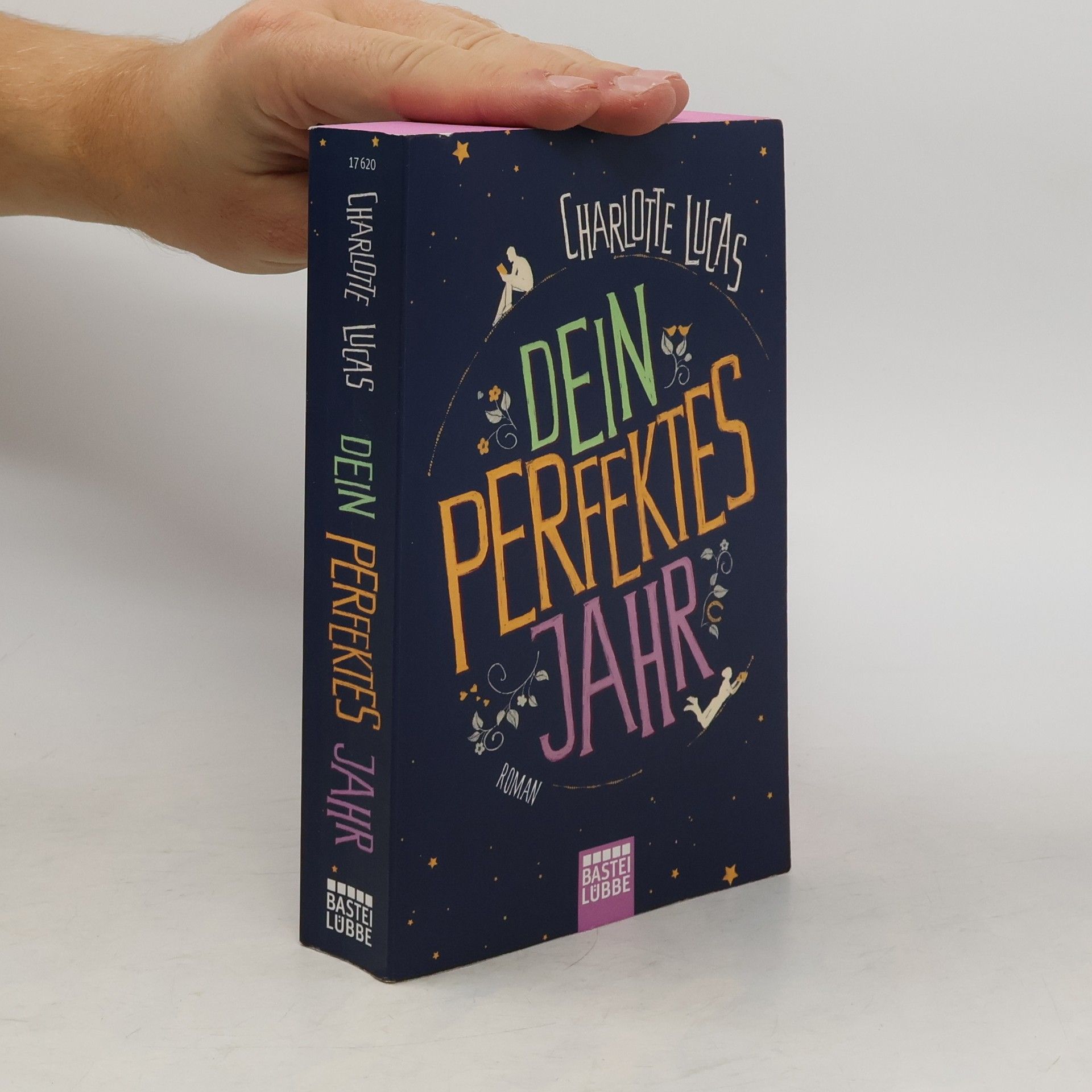 Charlotte Lucas Dein perfektes Jahr