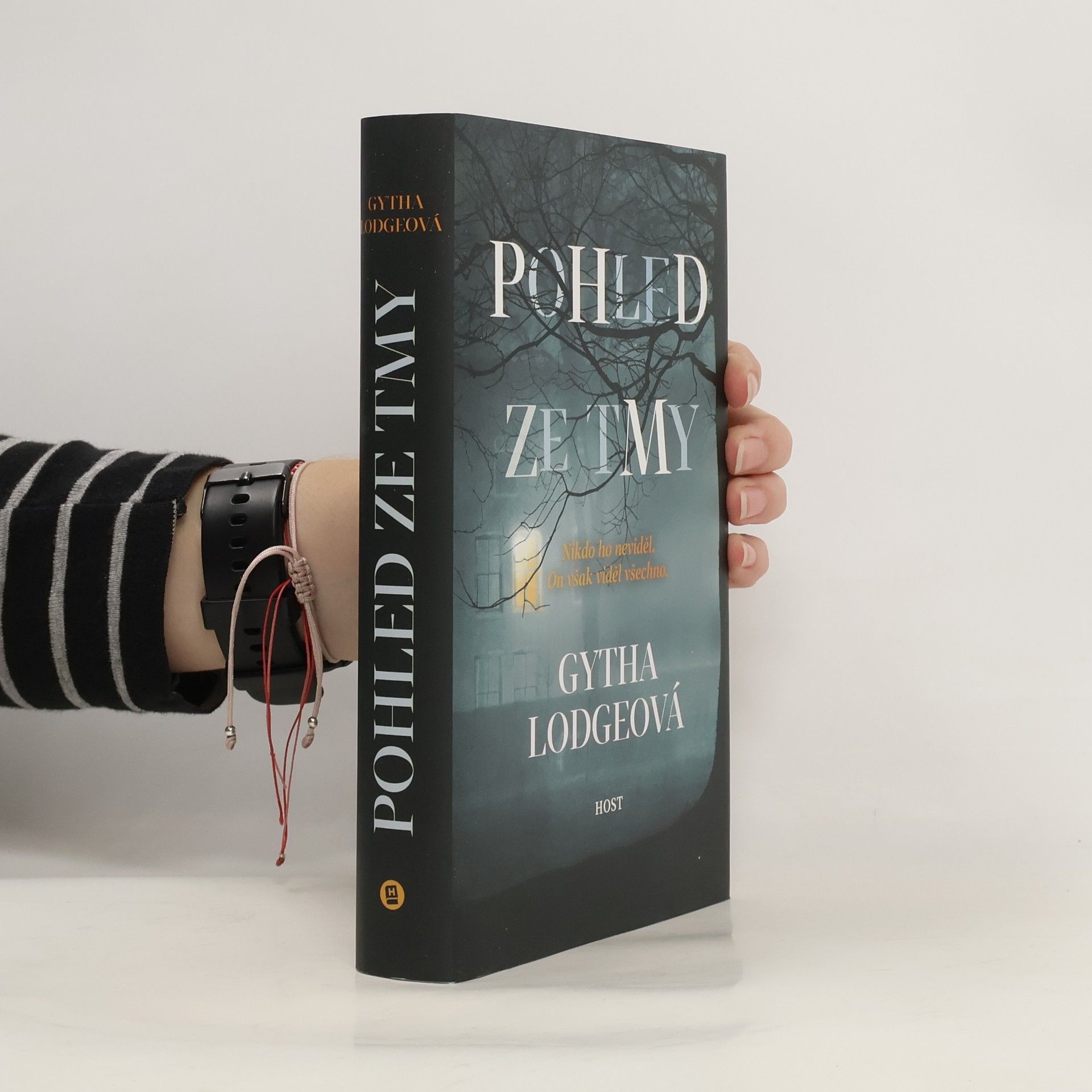 Gytha Lodge Pohled ze tmy