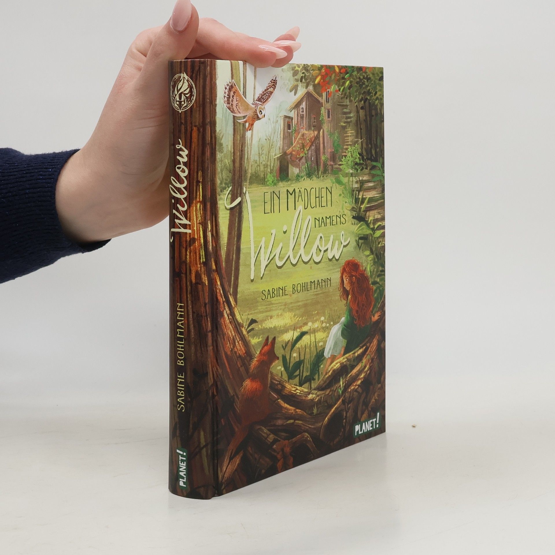 Sabine Bohlmann Ein Mädchen namens Willow