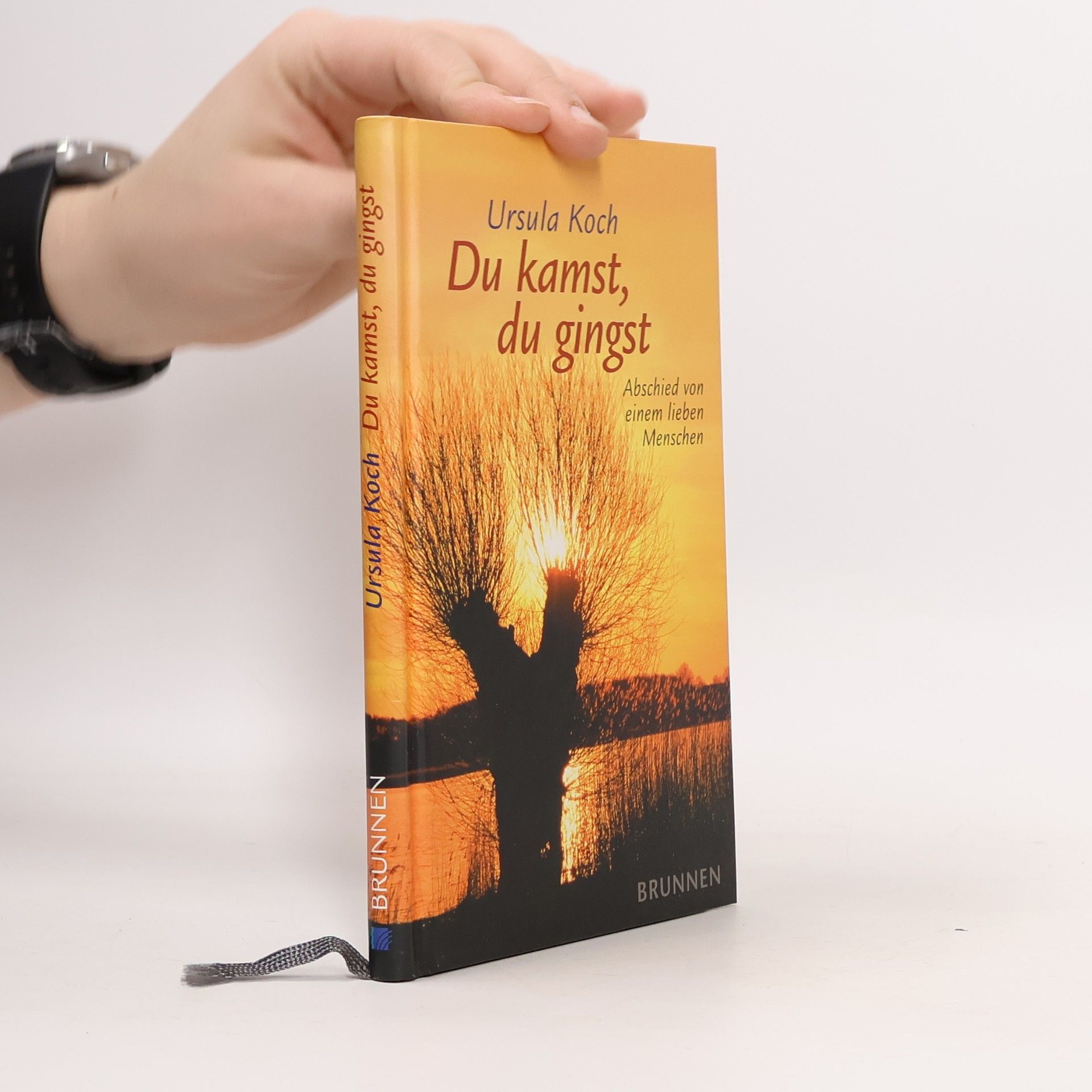 Ursula Koch Du kamst, du gingst