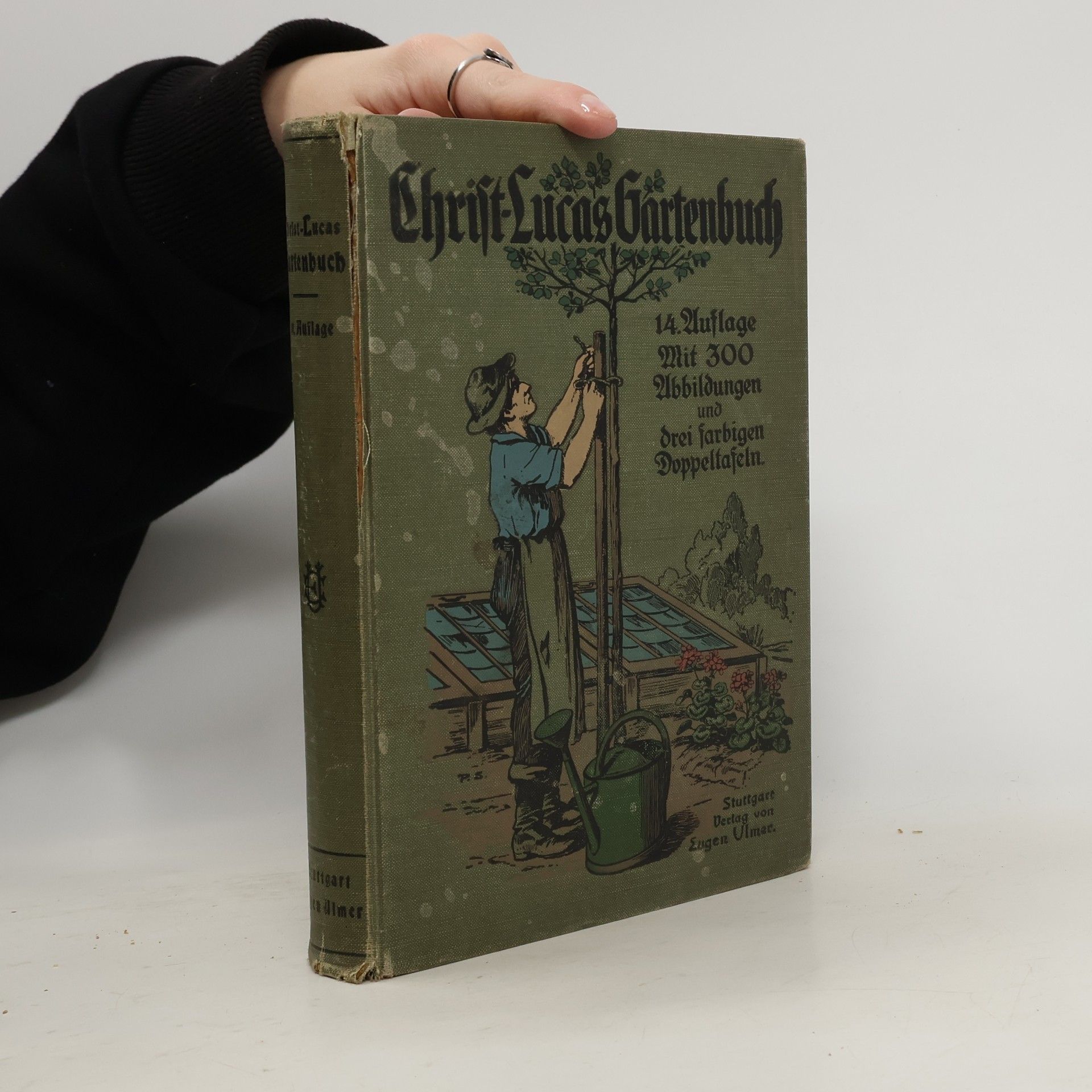 Autorenkollektiv Christ-Lucas Gartenbuch