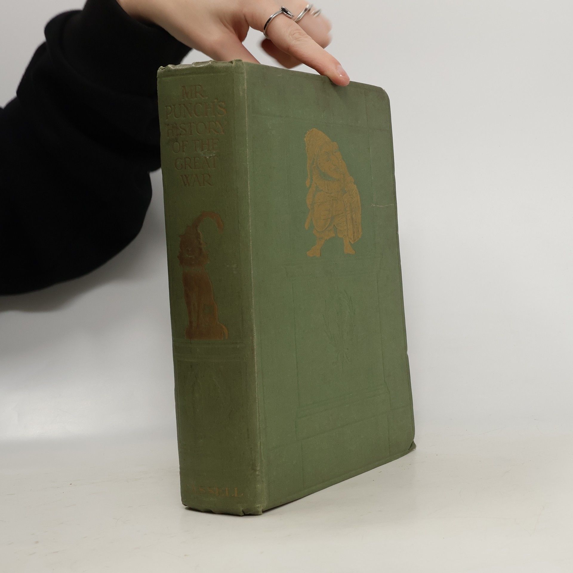 Kolektiv autorů Mr. Punch's History of the Great War