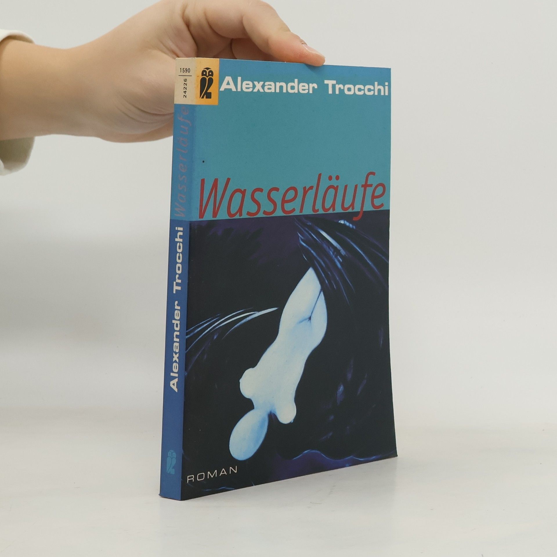 Alexander Trocchi Wasserläufe. Roman