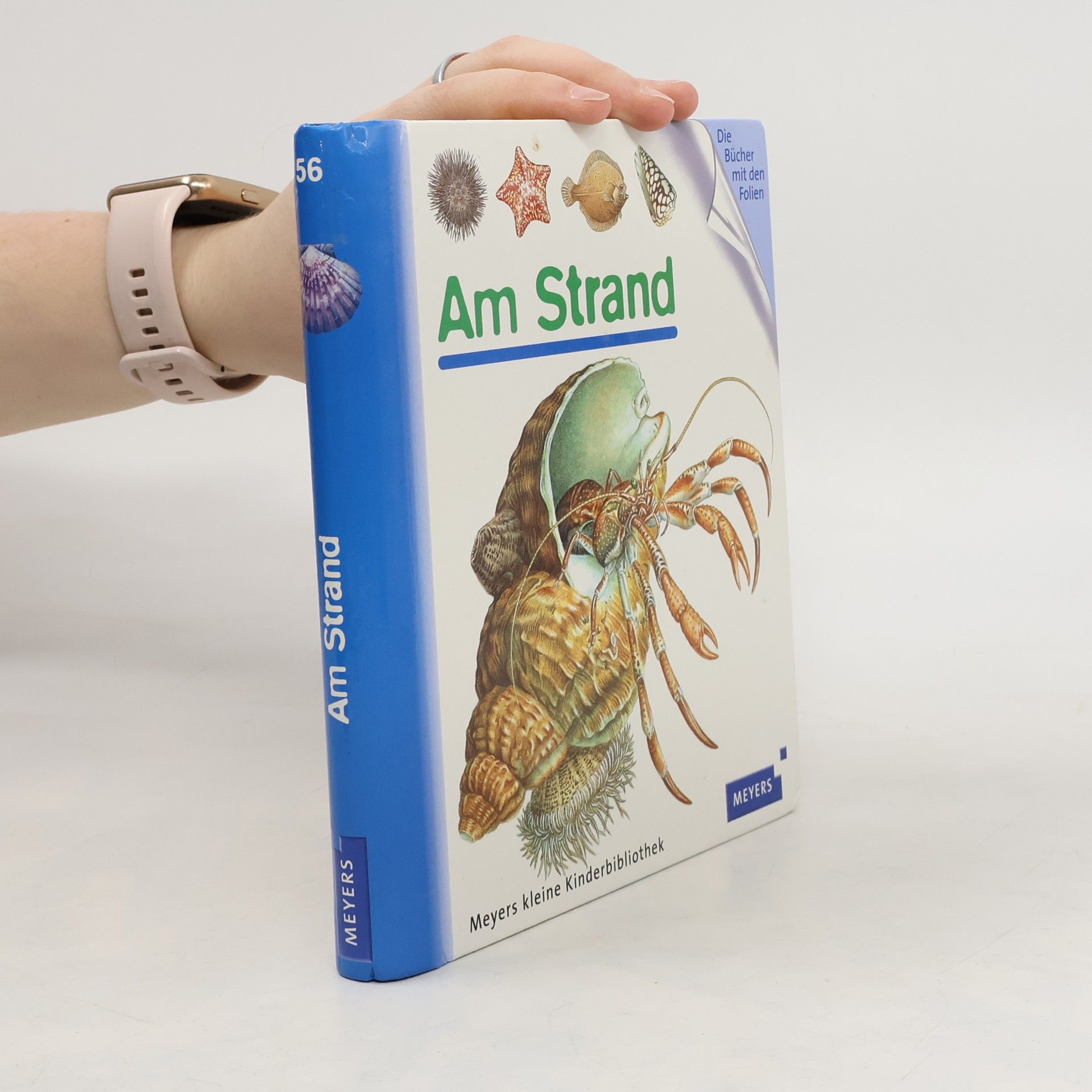 Elisabeth Cohat Am Strand