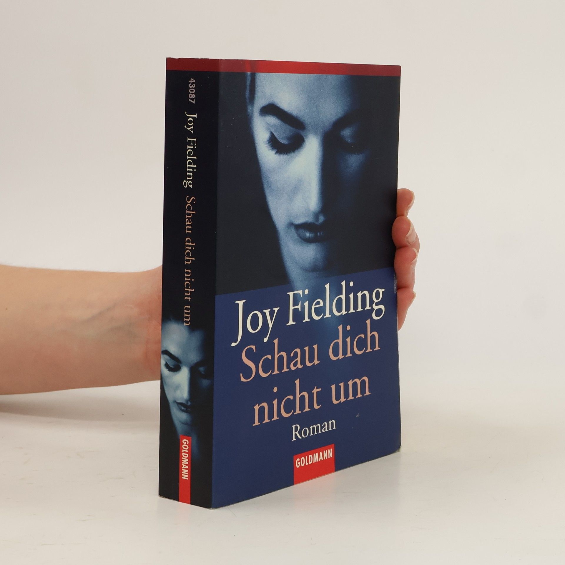 Joy Fielding Schau dich nicht um