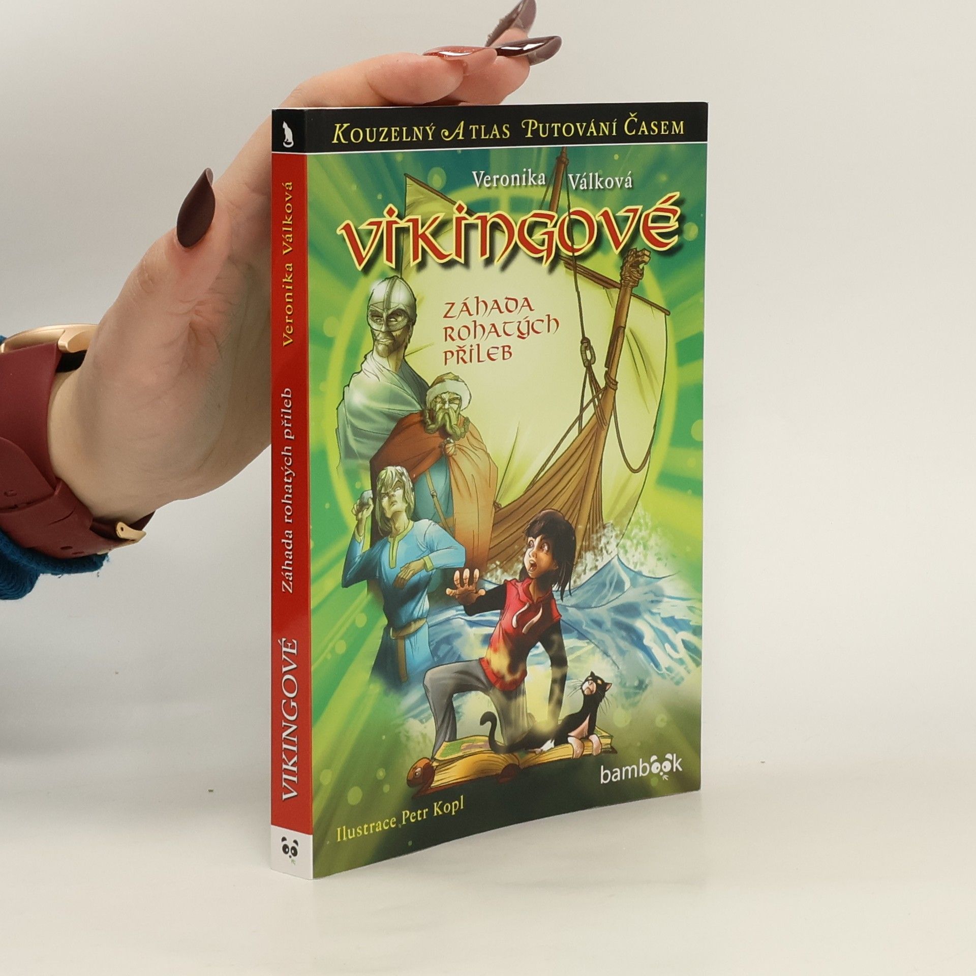 Veronika Válková Vikingové : záhada rohatých přileb