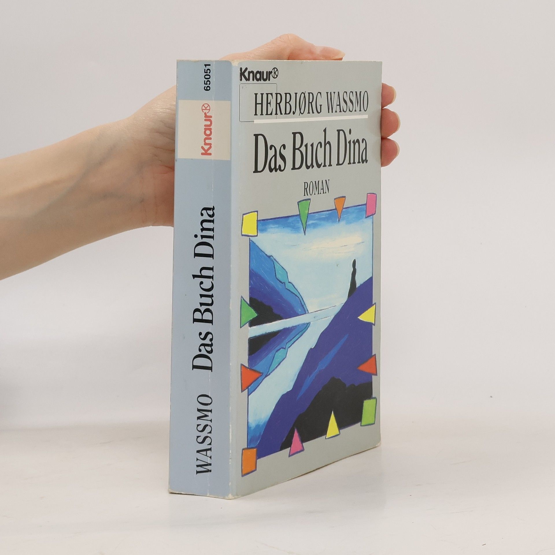 Herbjørg Wassmo Das Buch Dina