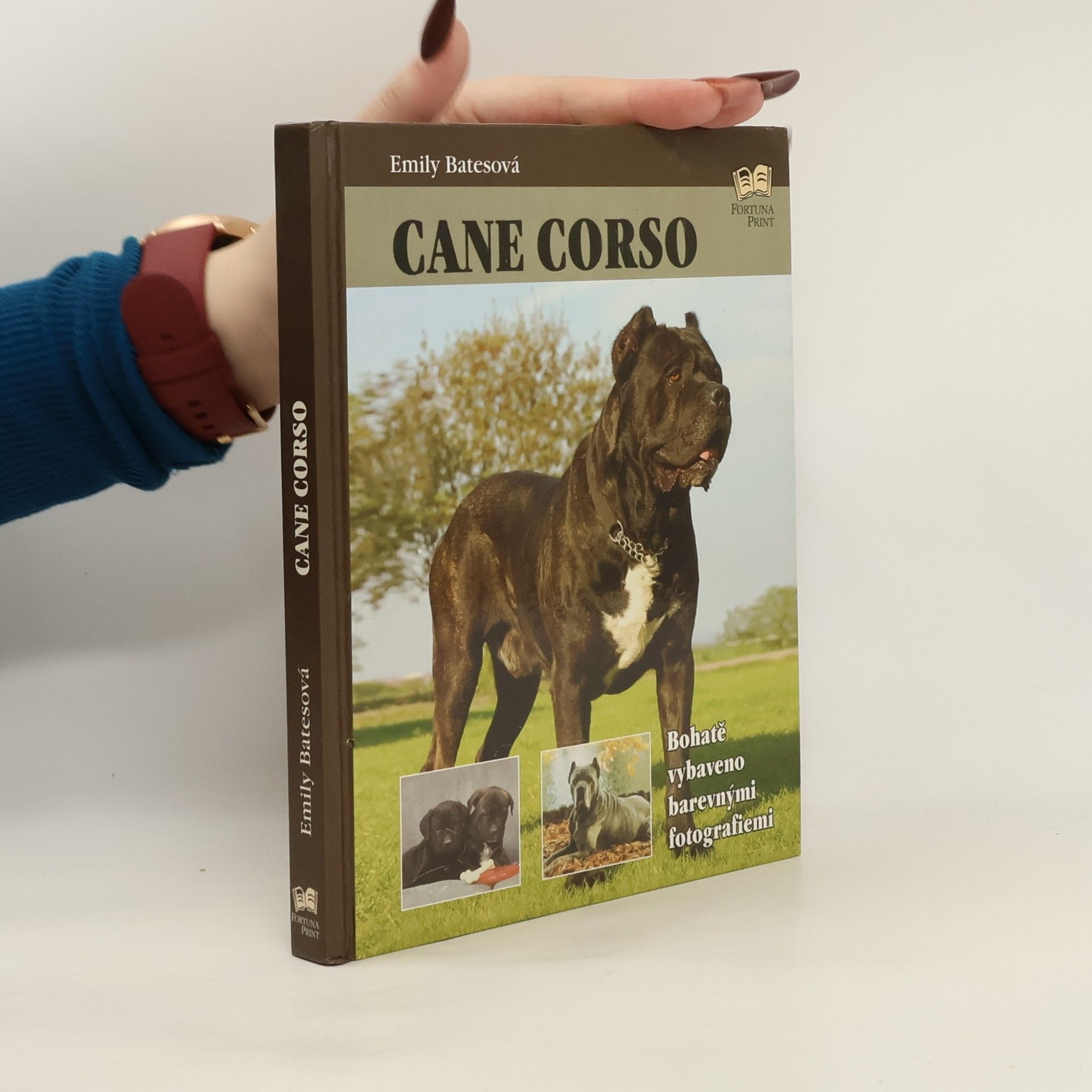 Emily Bates Cane Corso