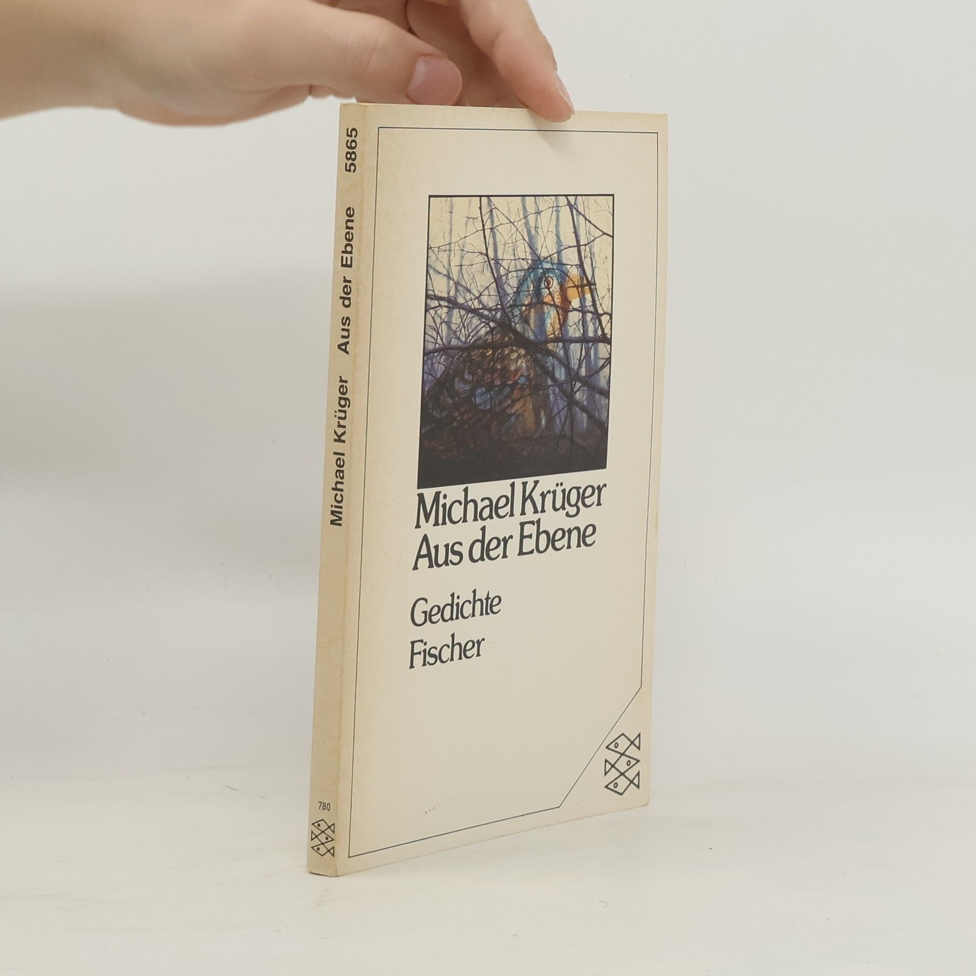 Michael Krüger Aus der Ebene