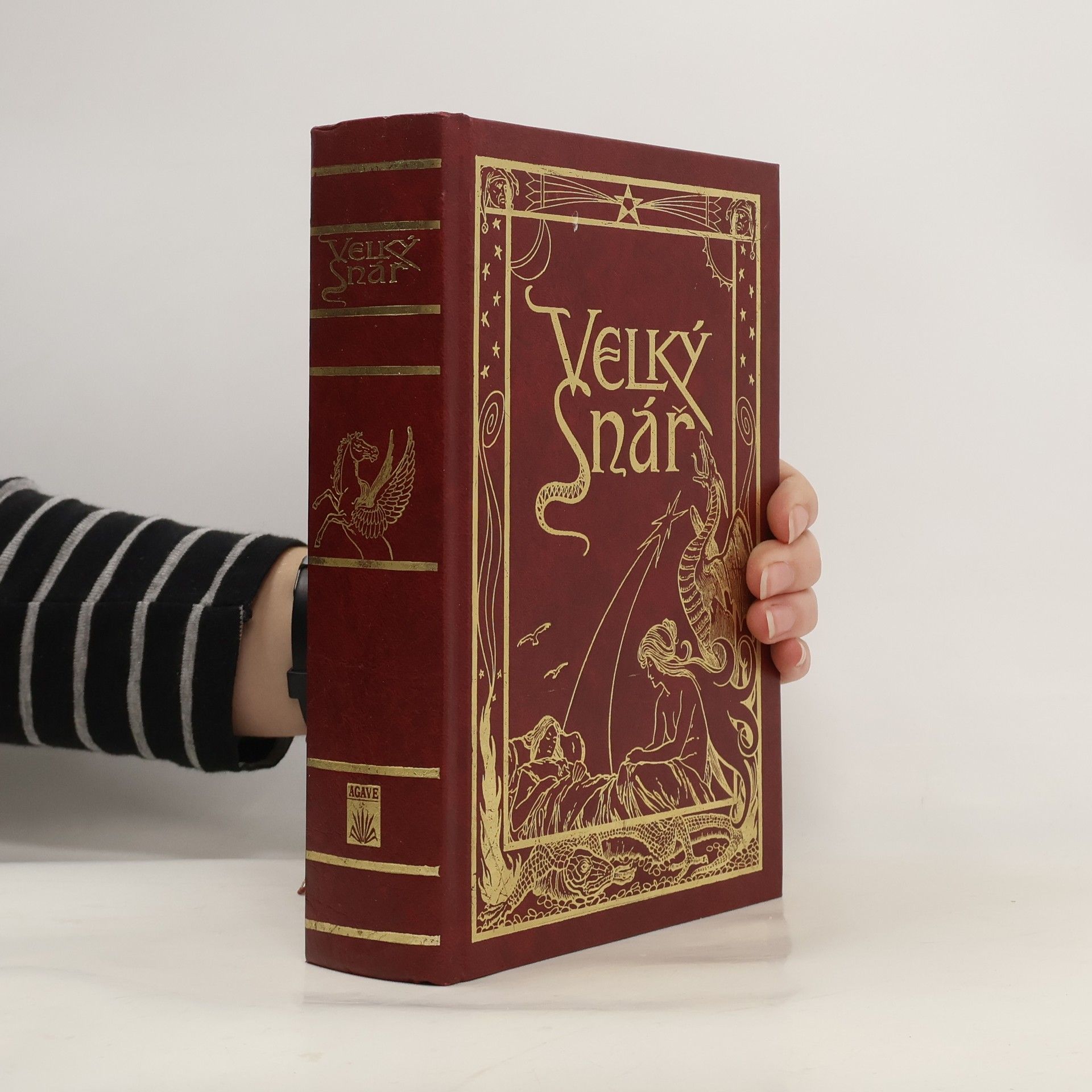 Marek Skierkowski Velký snář