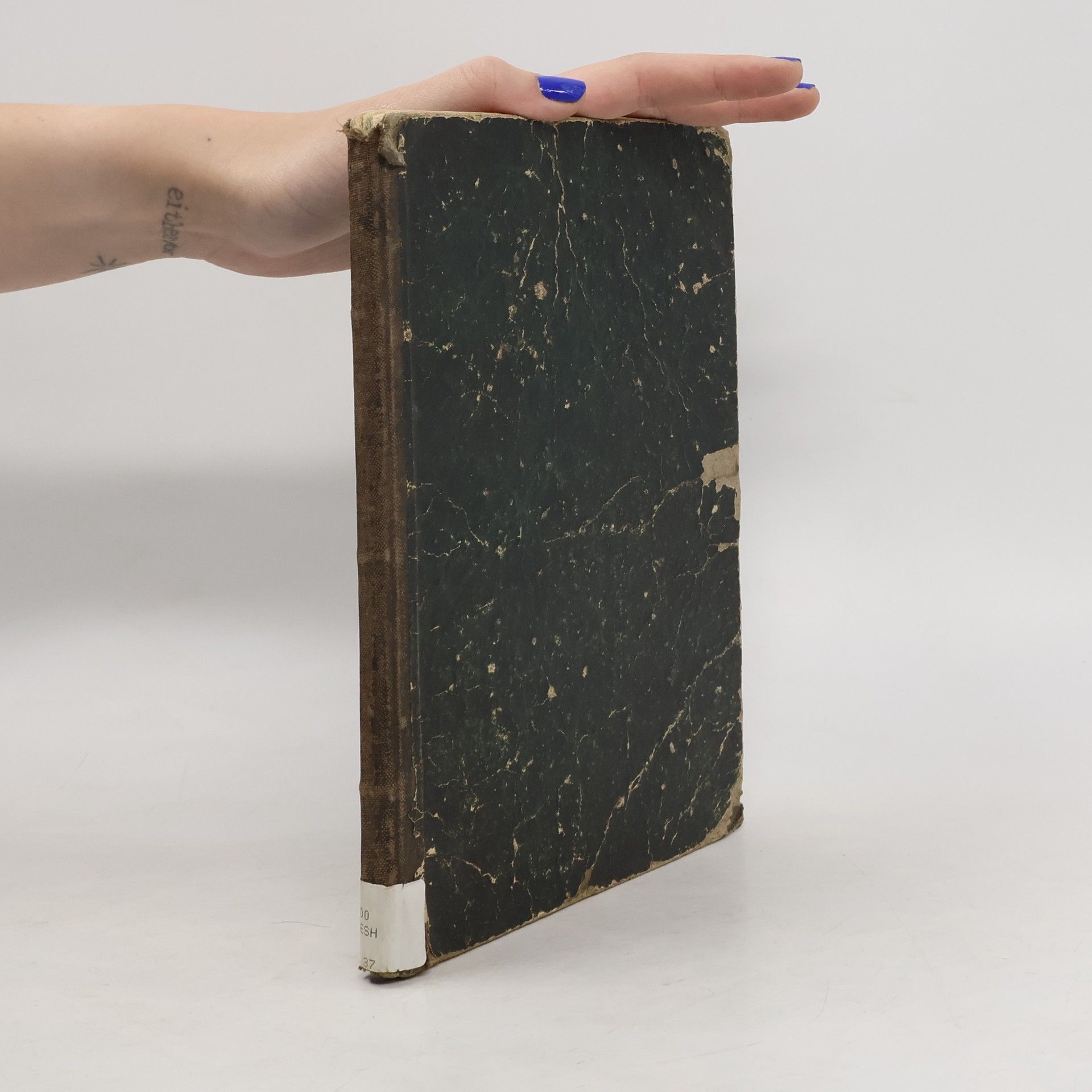 Friedrich Prahl Chronica der Städte und Flecken in den Herzogthümern Schleswig und Holstein