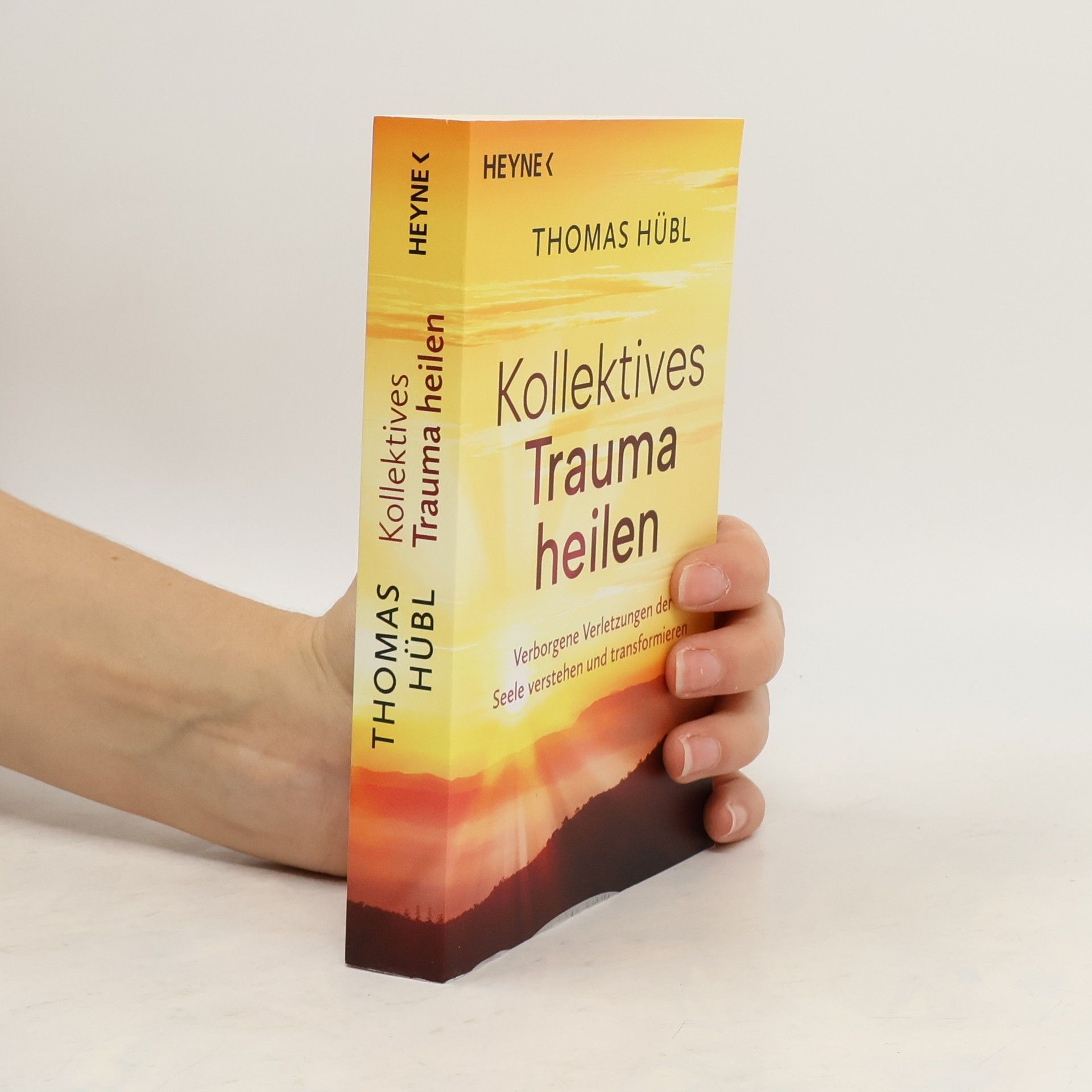 Thomas Hübl Kollektives Trauma heilen