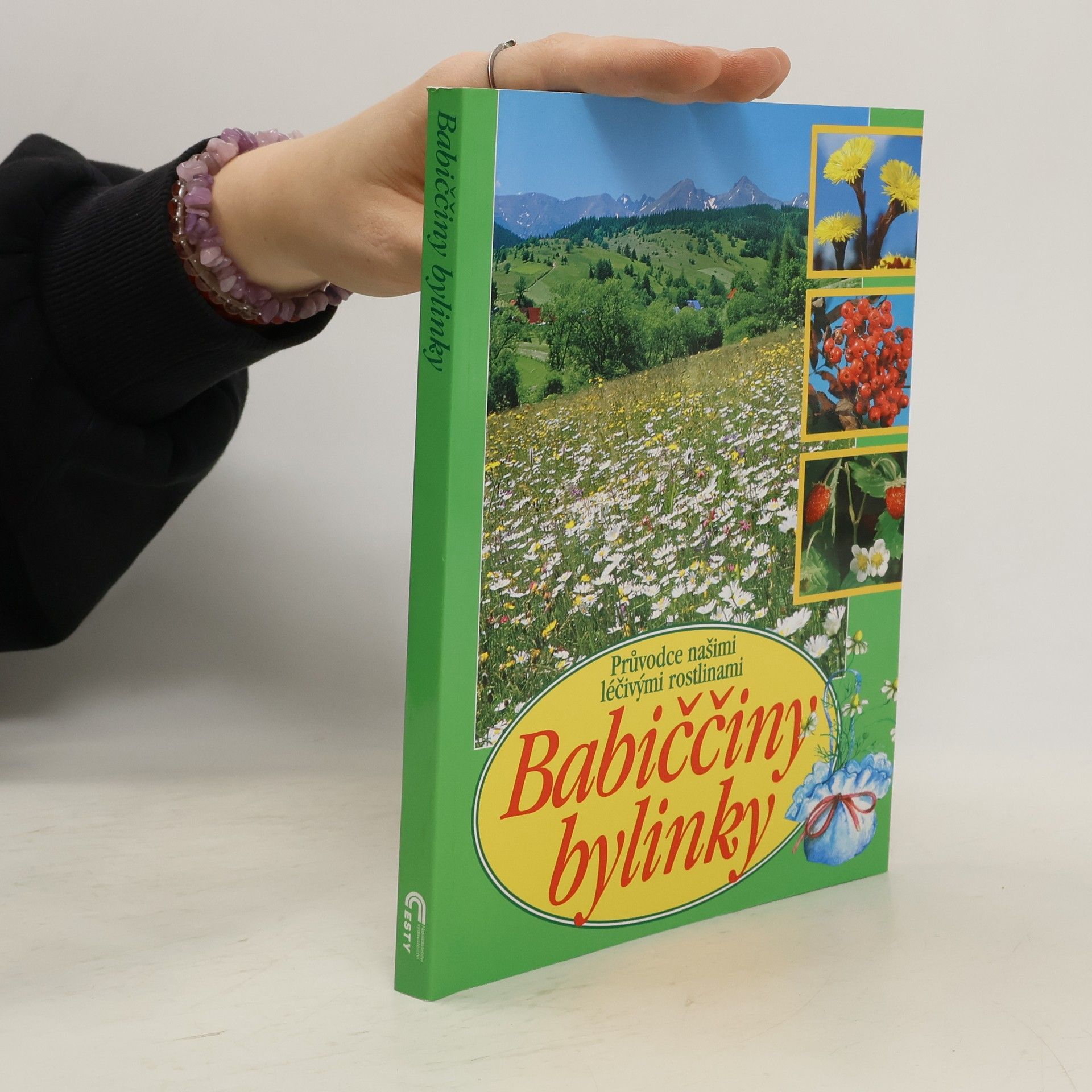 Babiččiny bylinky: Průvodce našimi léčivými rostlinami