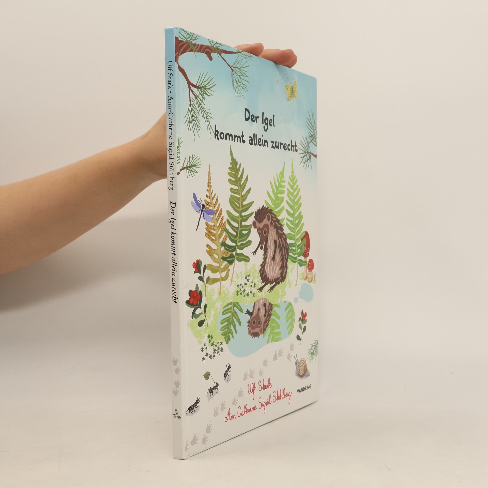 Autorenkollektiv Der Igel kommt allein zurecht