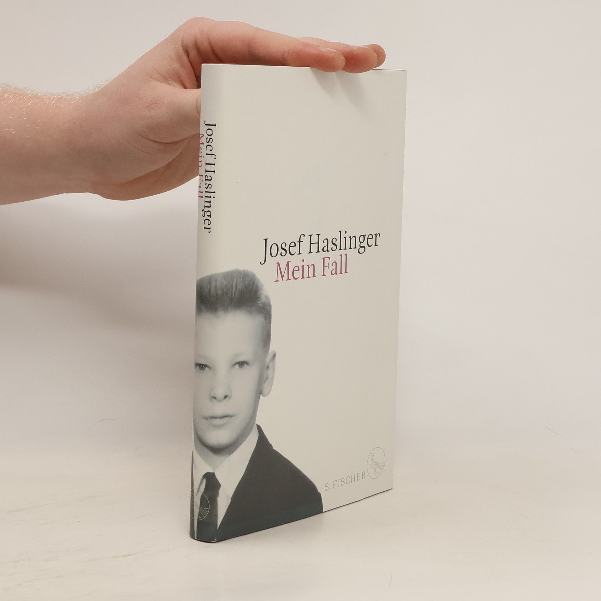 Josef Haslinger Mein Fall