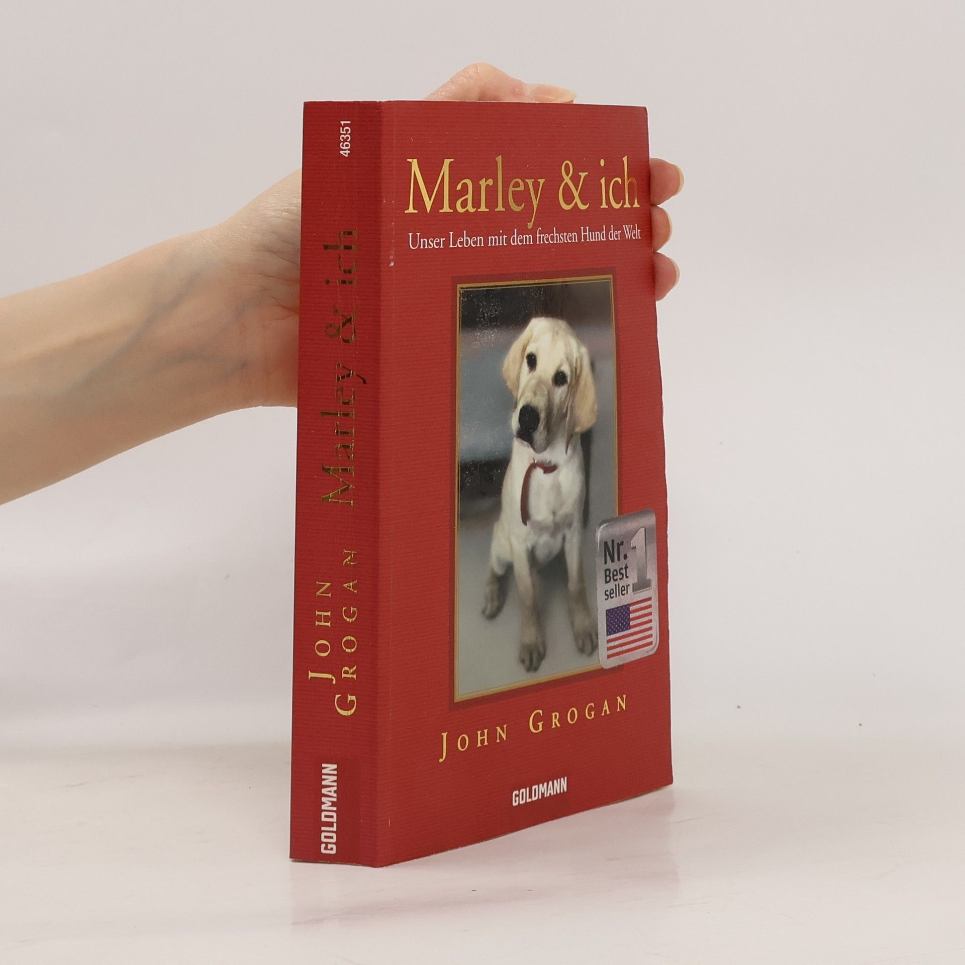 John Grogan Marley & ich