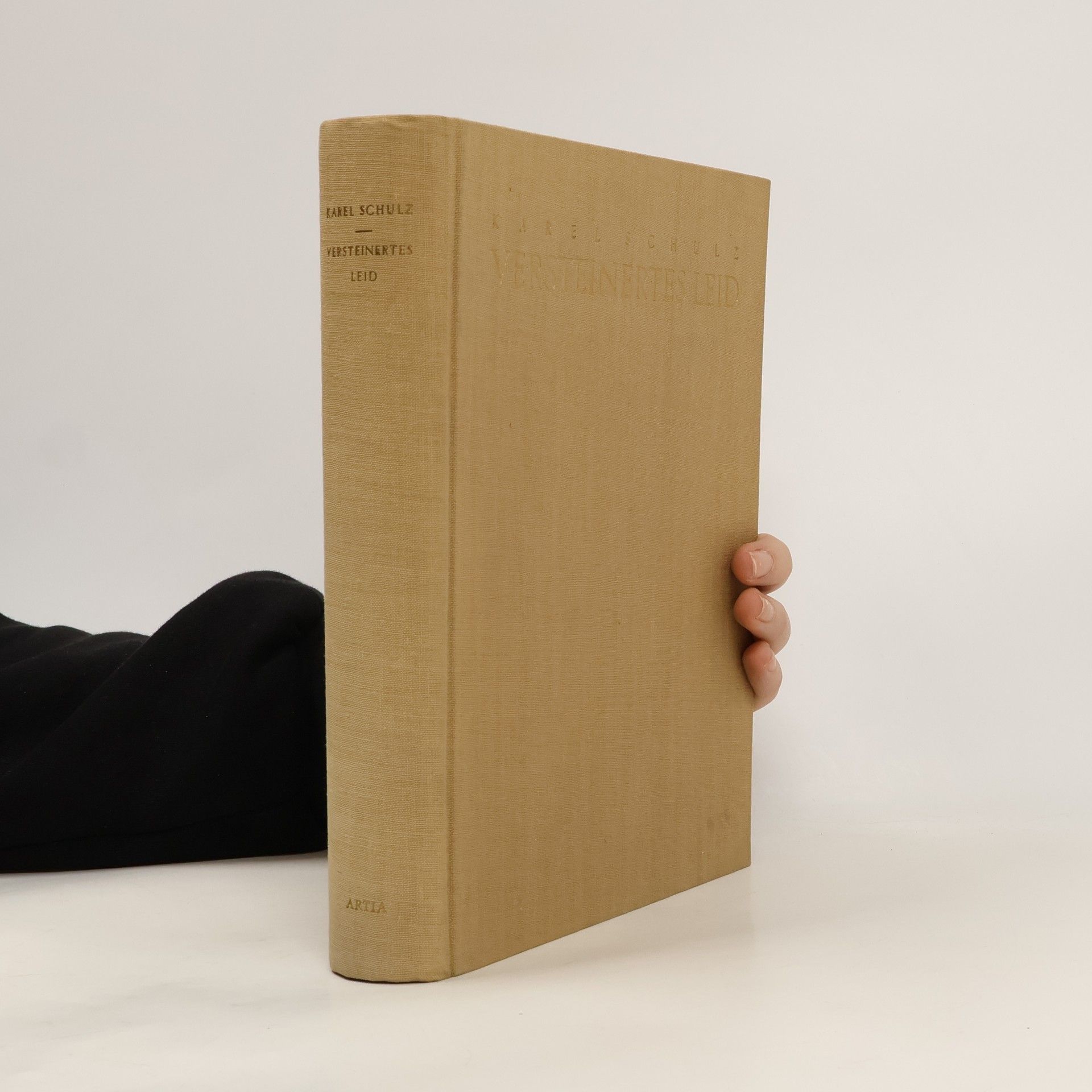 Karel Schulz Versteinertes Leid