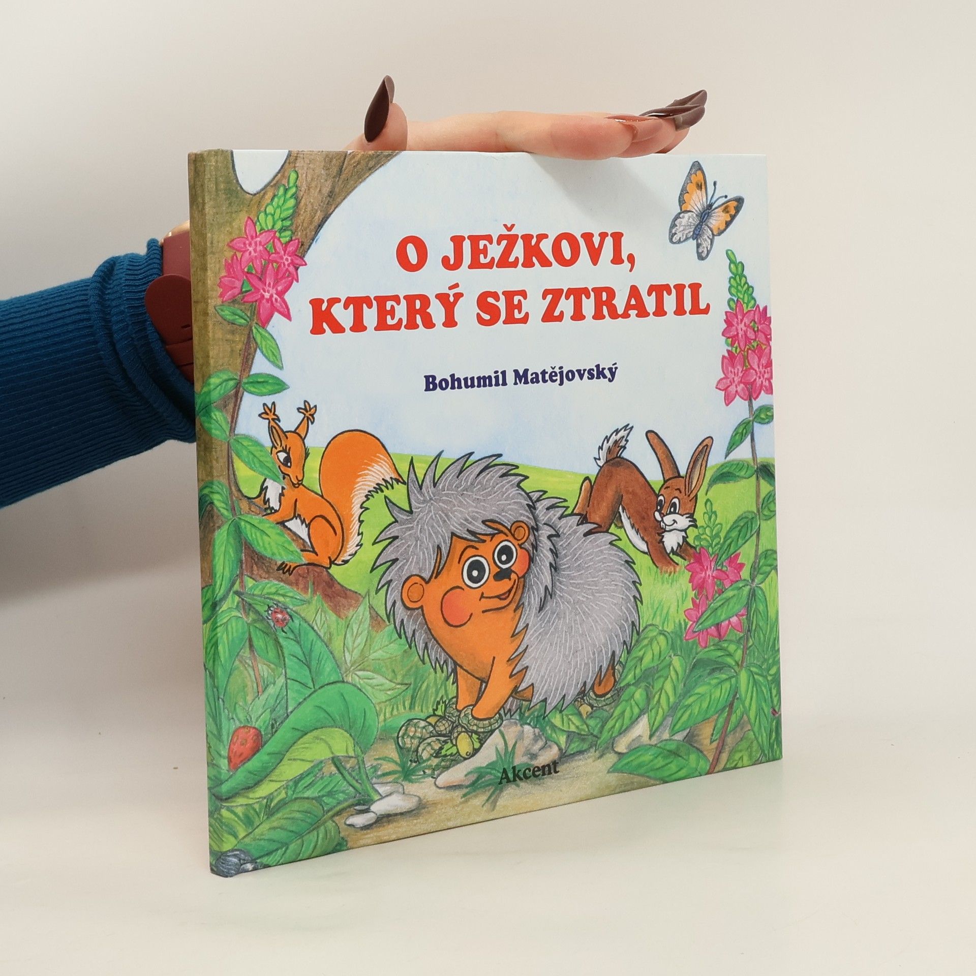 O ježkovi, který se ztratil