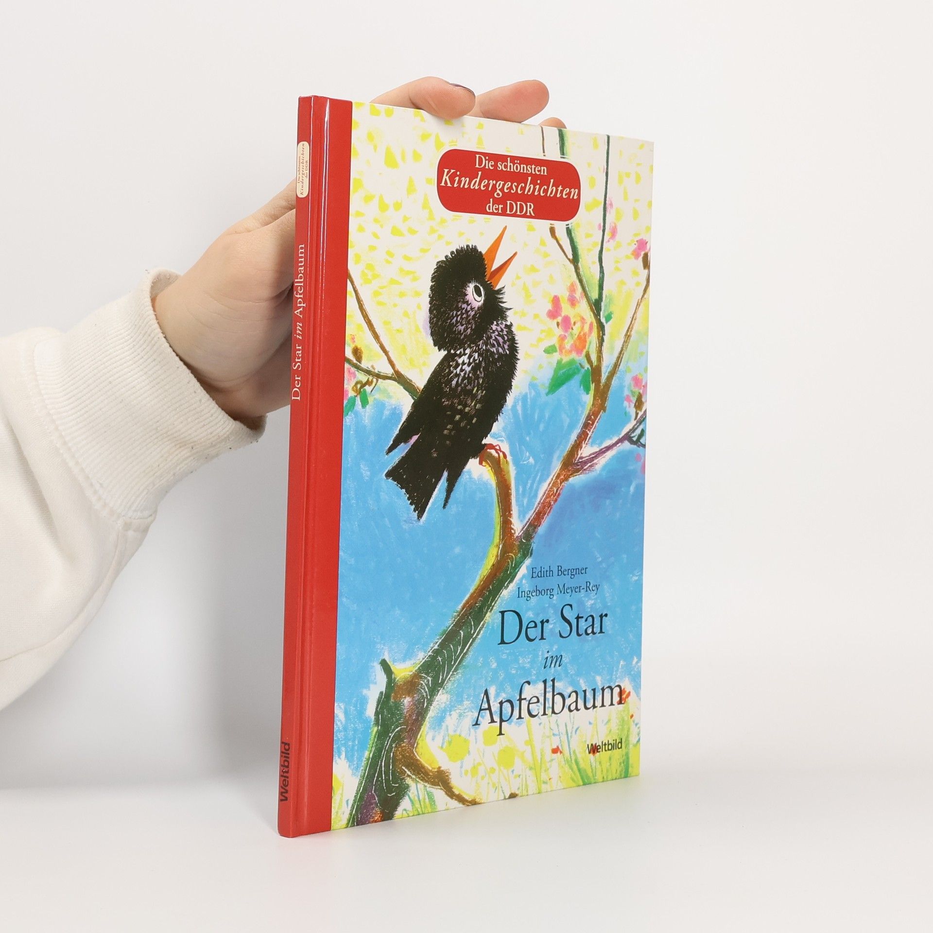 Autorenkollektiv Der Star im Apfelbaum