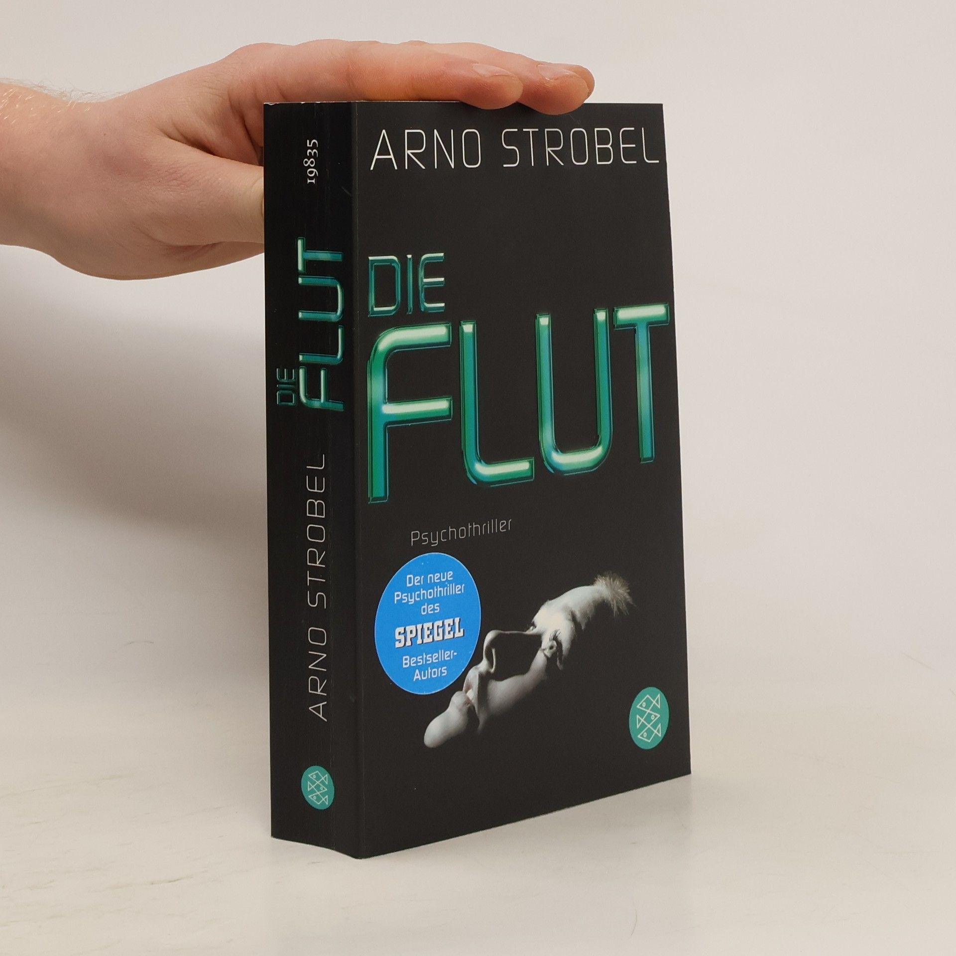 Arno Strobel Die Flut