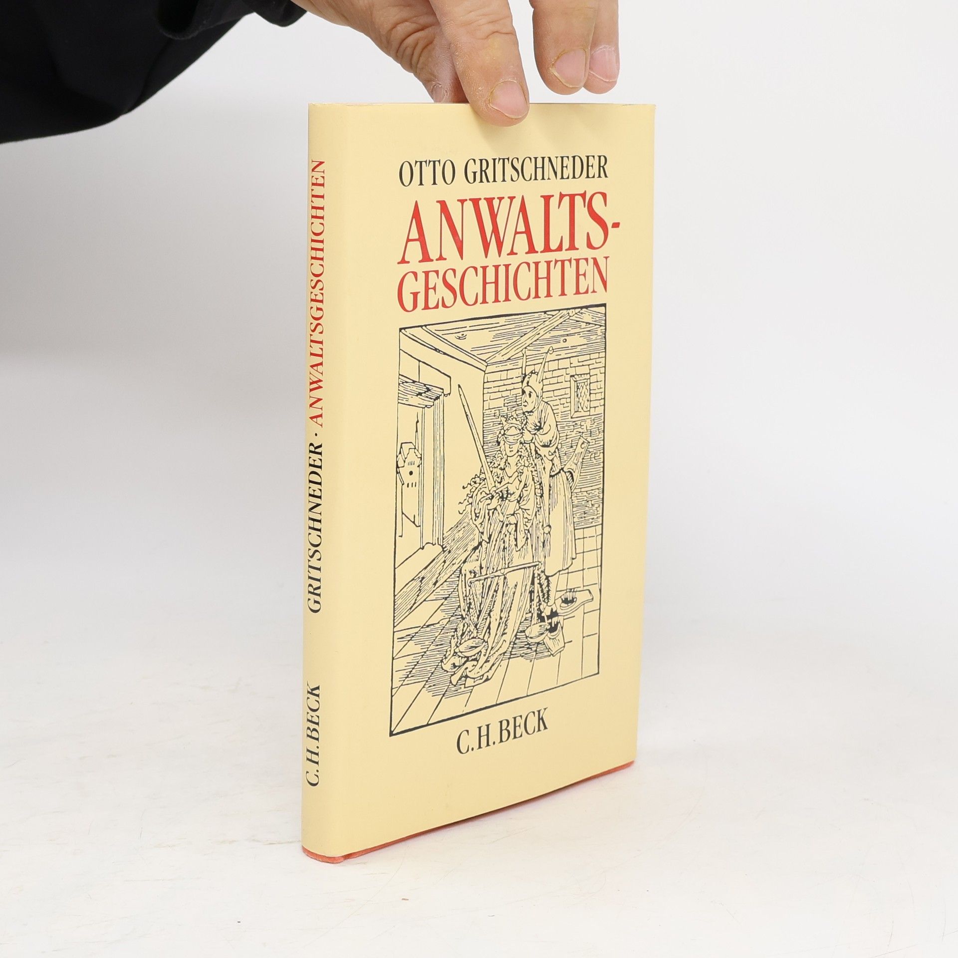 Anwaltsgeschichten