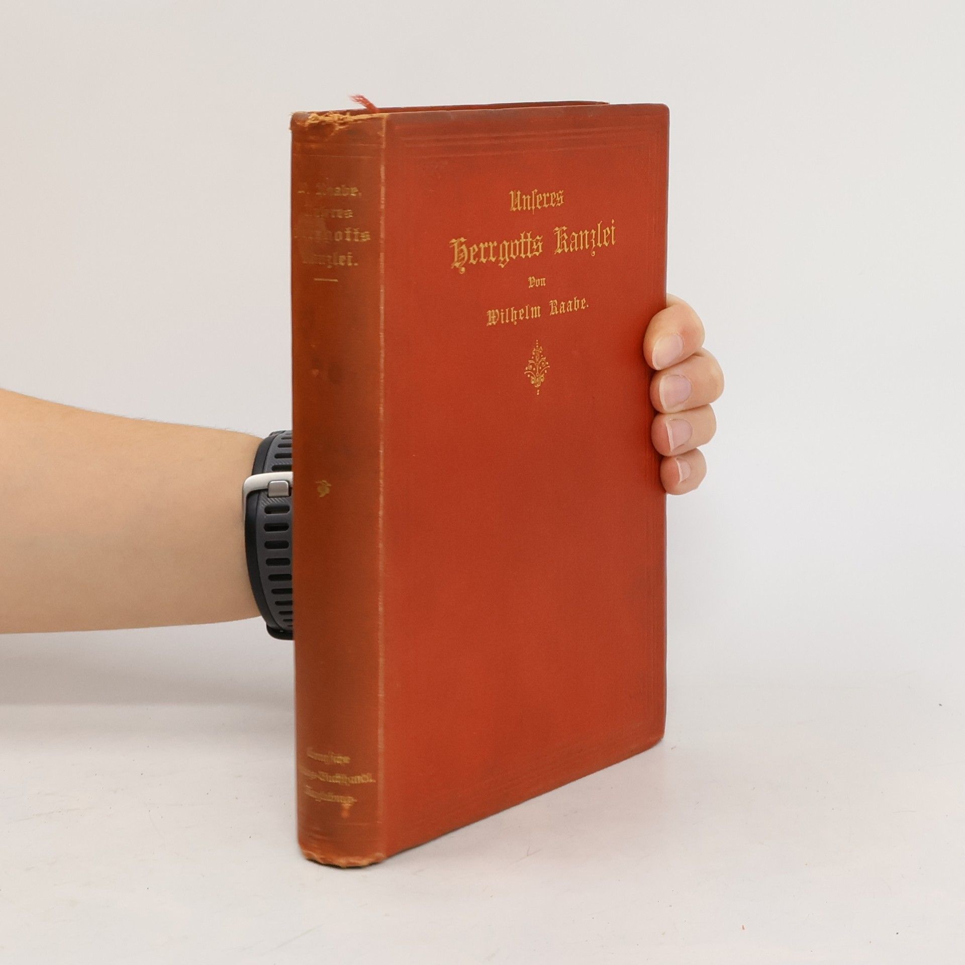 Wilhelm Raabe Unseres Herrgotts Canzlei