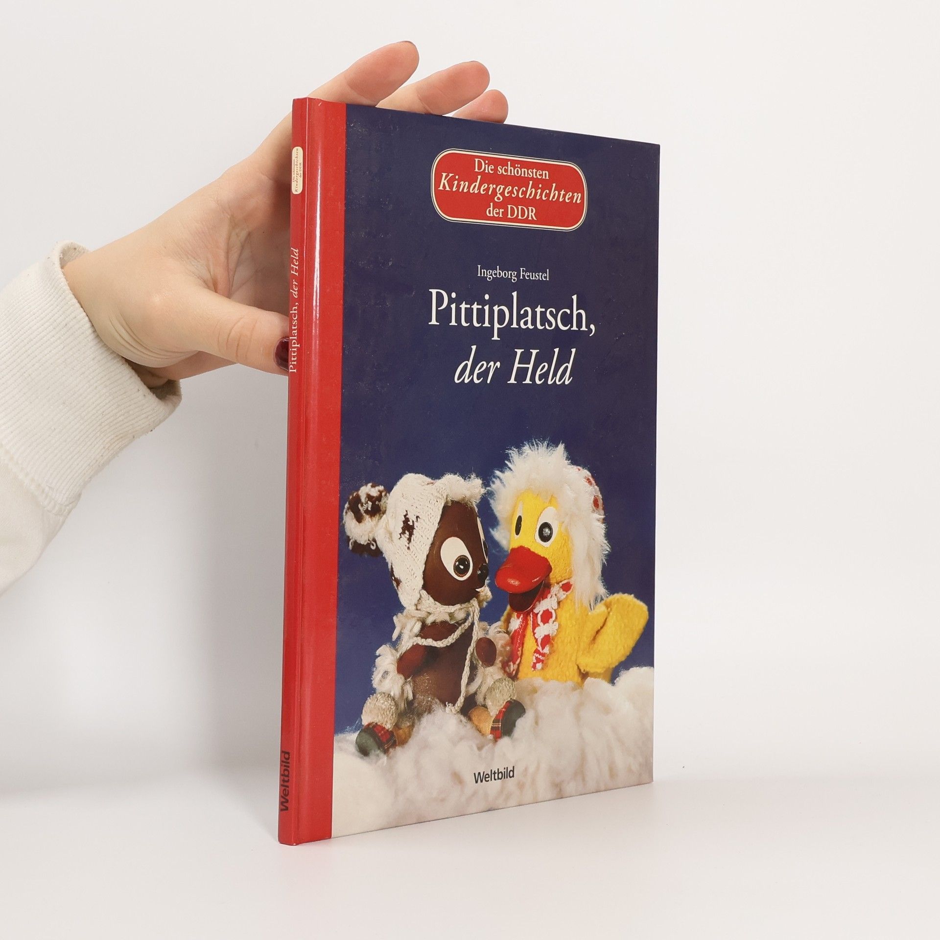 AA.VV. Pittiplatsch, der Held