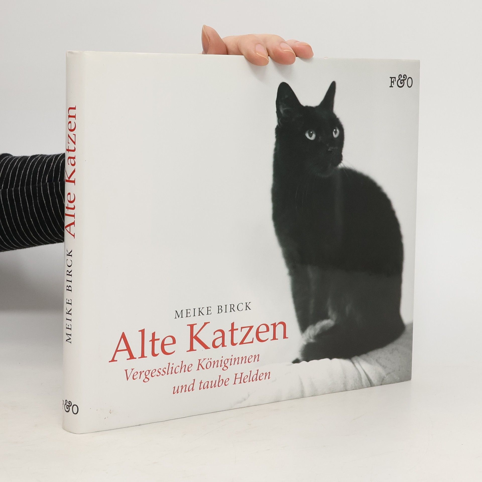 Alte Katzen