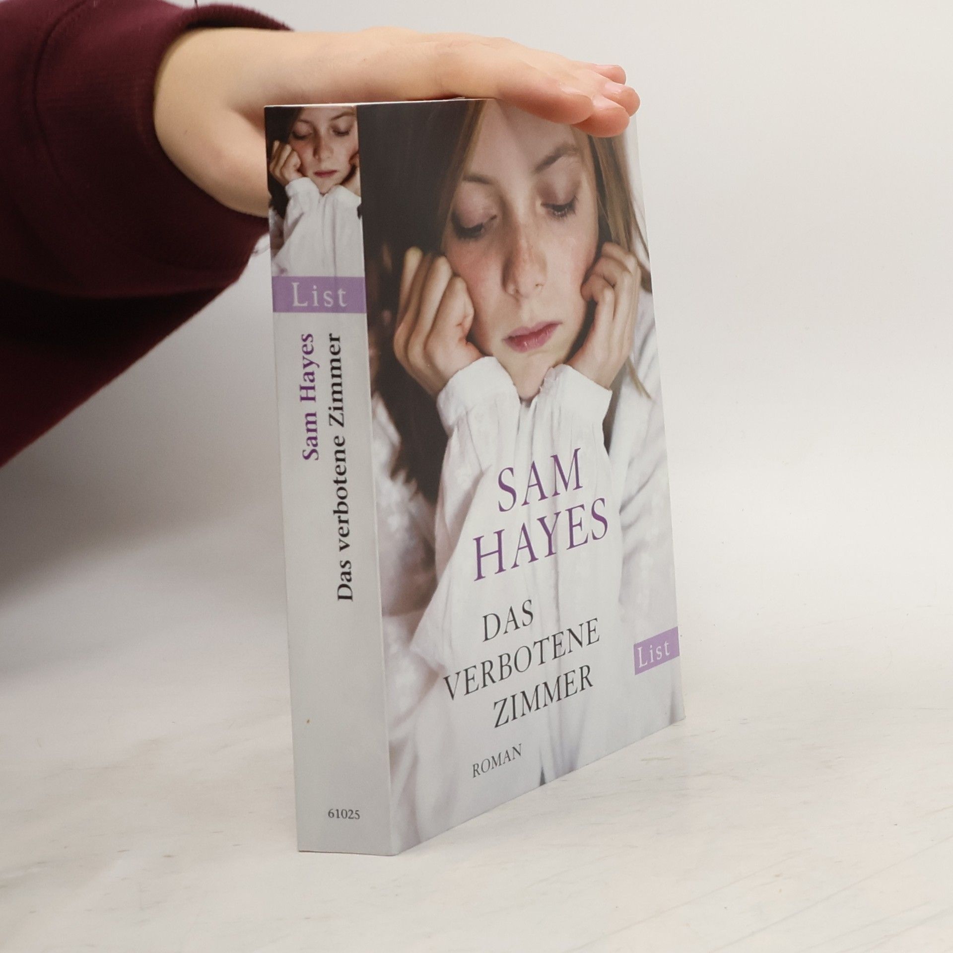 Sam Hayes Das verbotene Zimmer