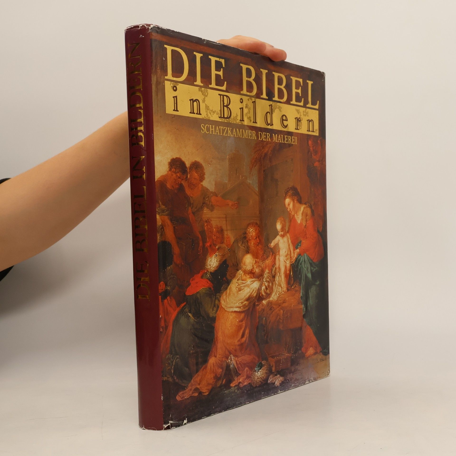 Collectif d'auteurs Die Bibel in Bildern. Schatzkammer der Malerei