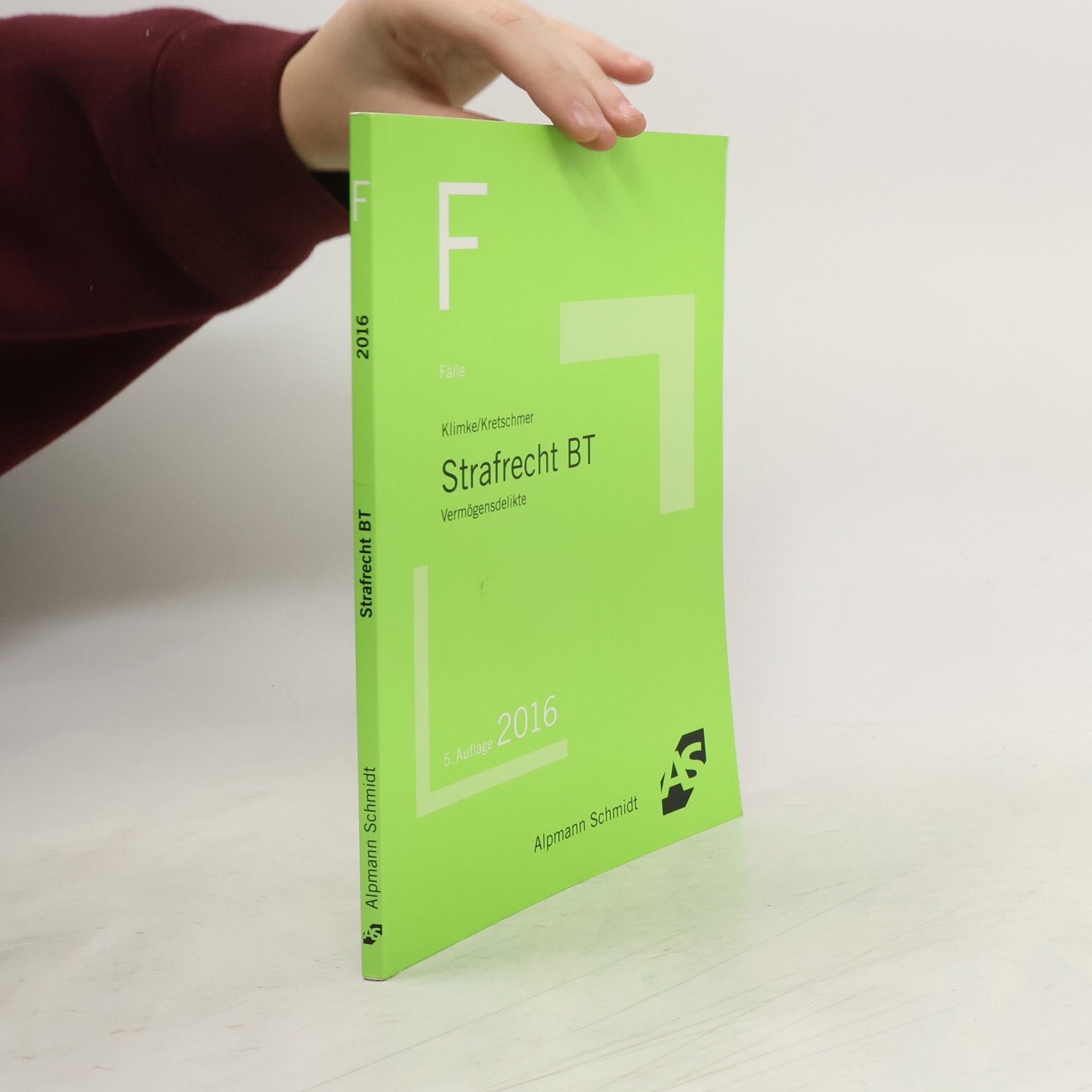 Olaf Klimke Fälle Strafrecht BT