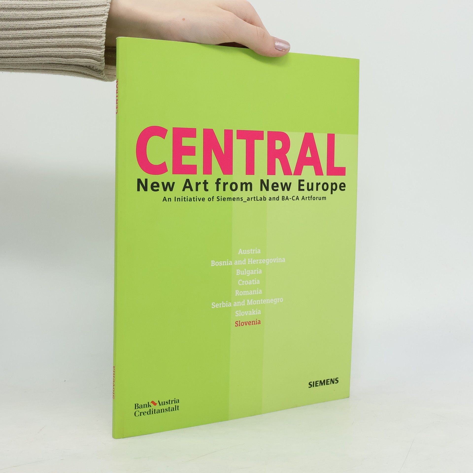 Kolektiv autorů Central. New Art from New Europe