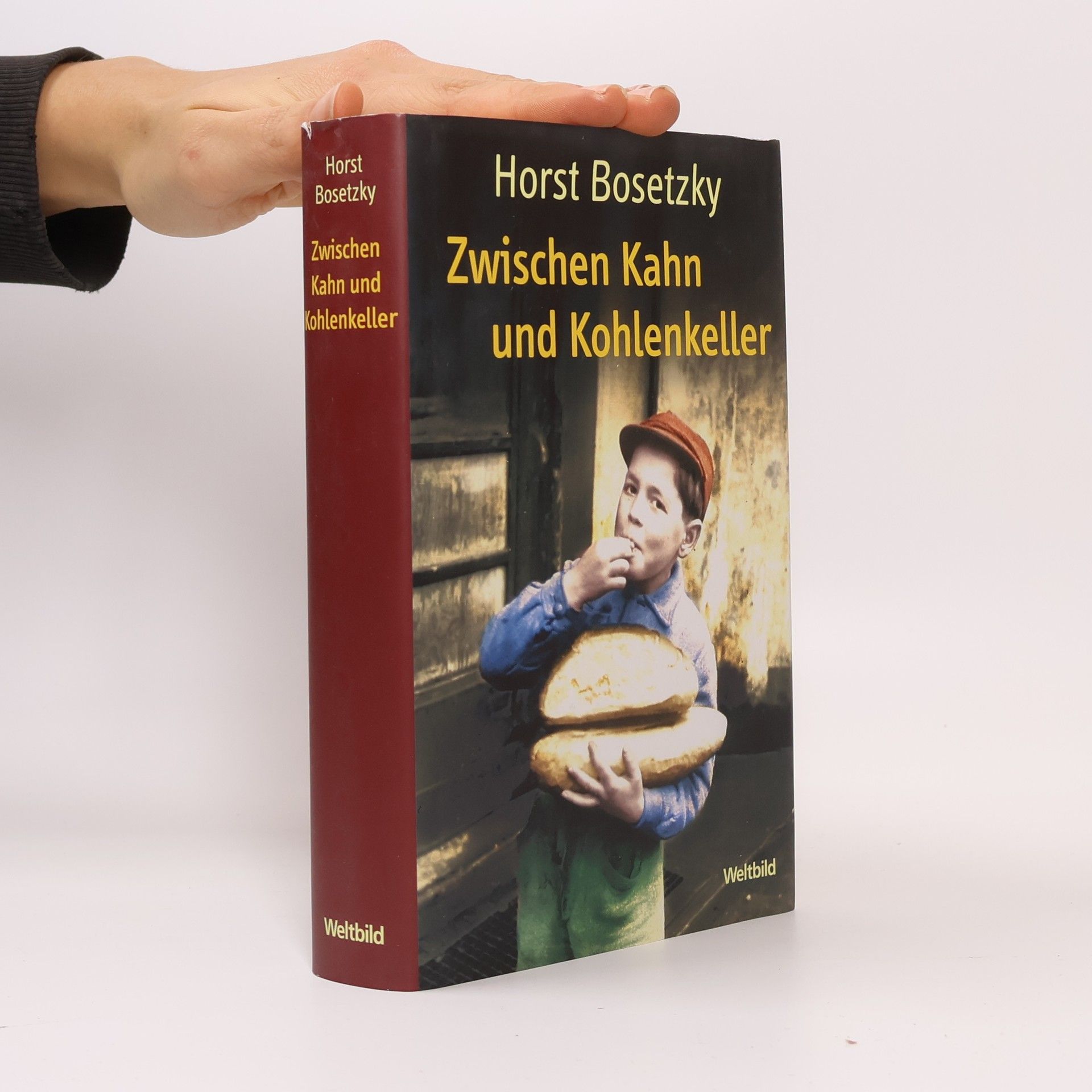 Horst Bosetzky Zwischen Kahn und Kohlenkeller