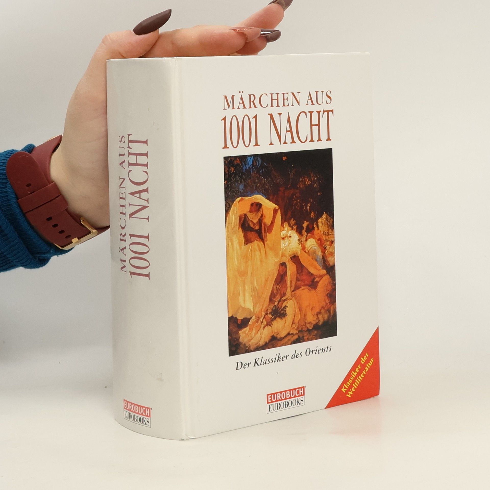 Kolektiv autorů Märchen aus 1001 Nacht (Der Klassiker des Orients)