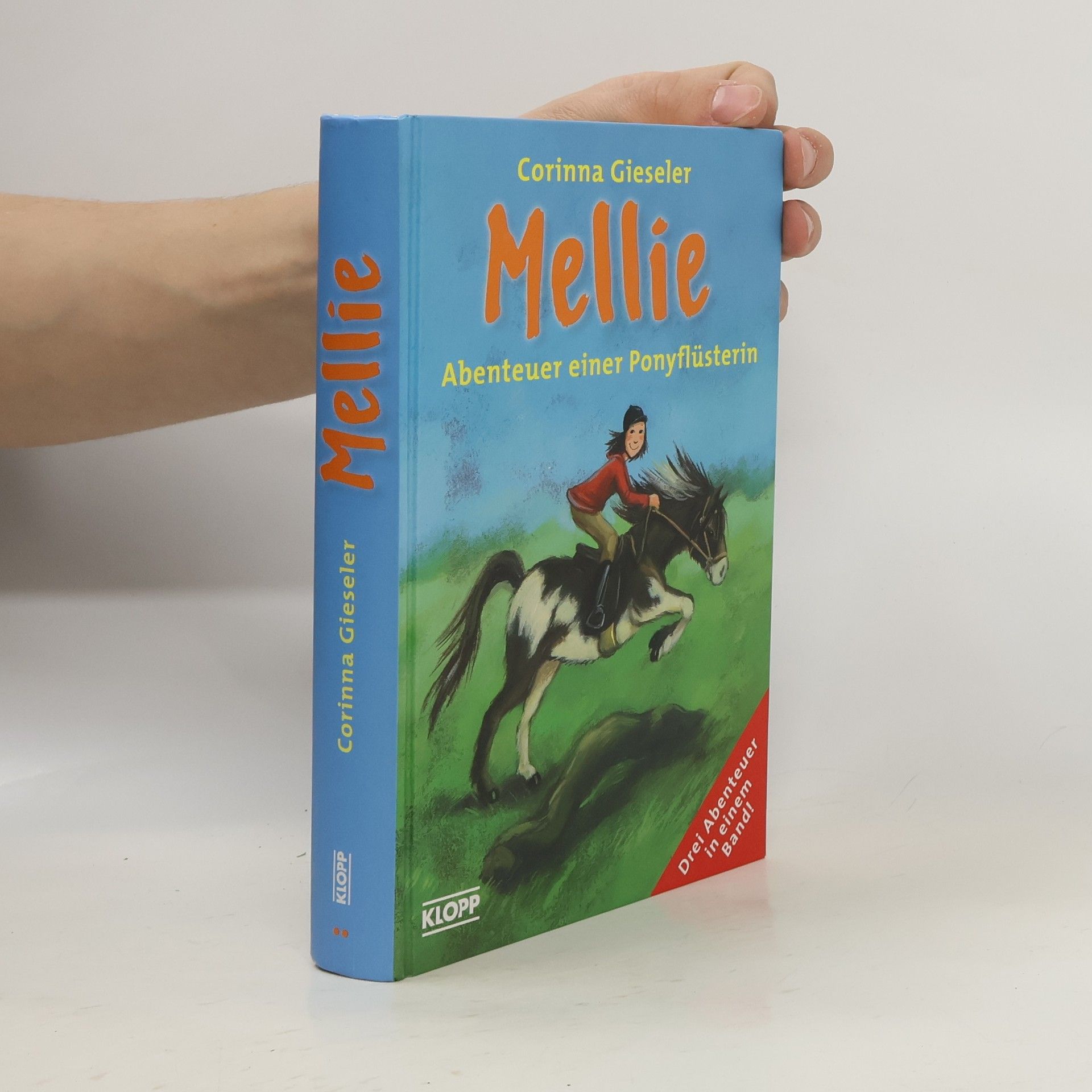 Corinna Gieseler Mellie. Abenteuer einer Ponyflüsterin