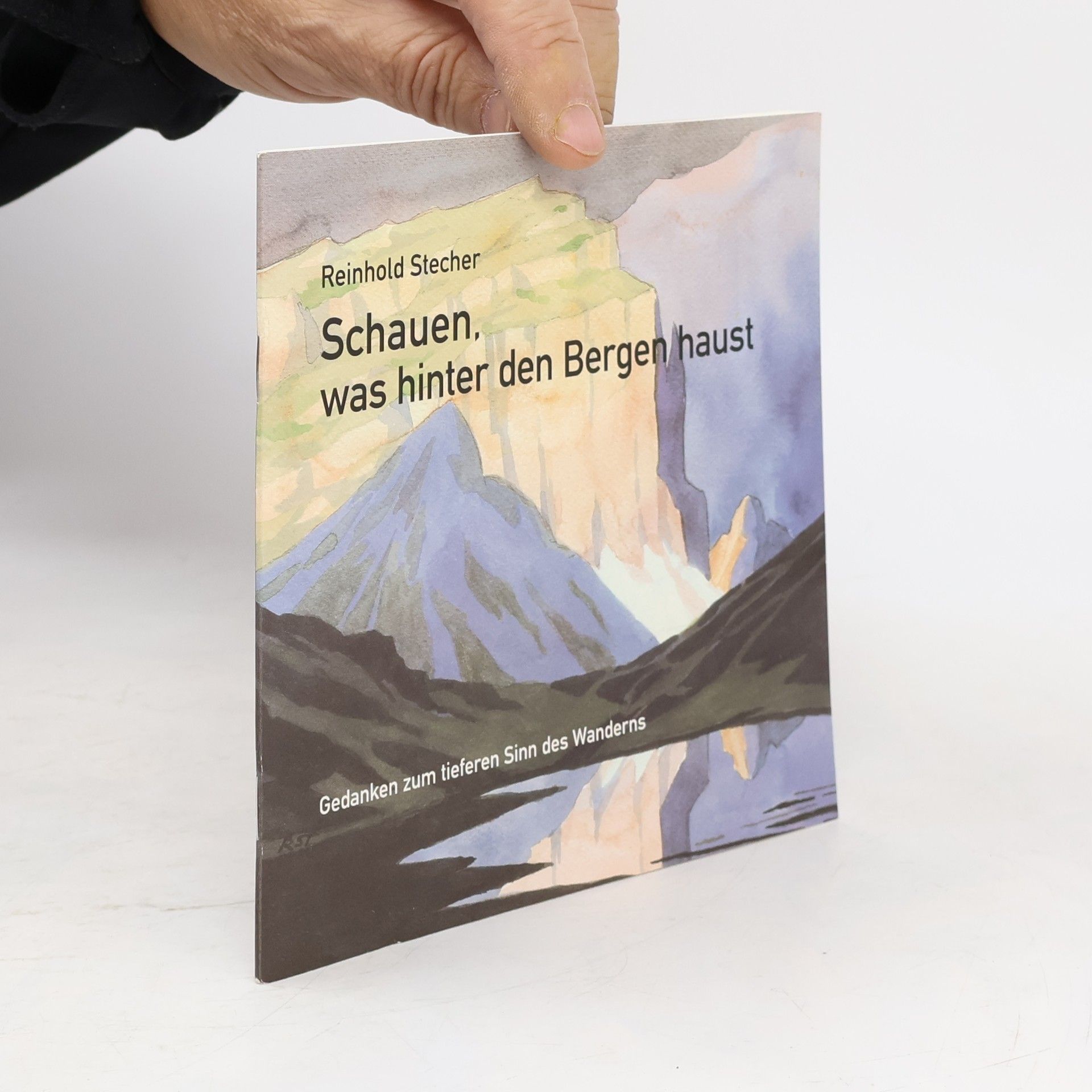 Reinhold Stecher Schauern, was hinter den Bergen haust