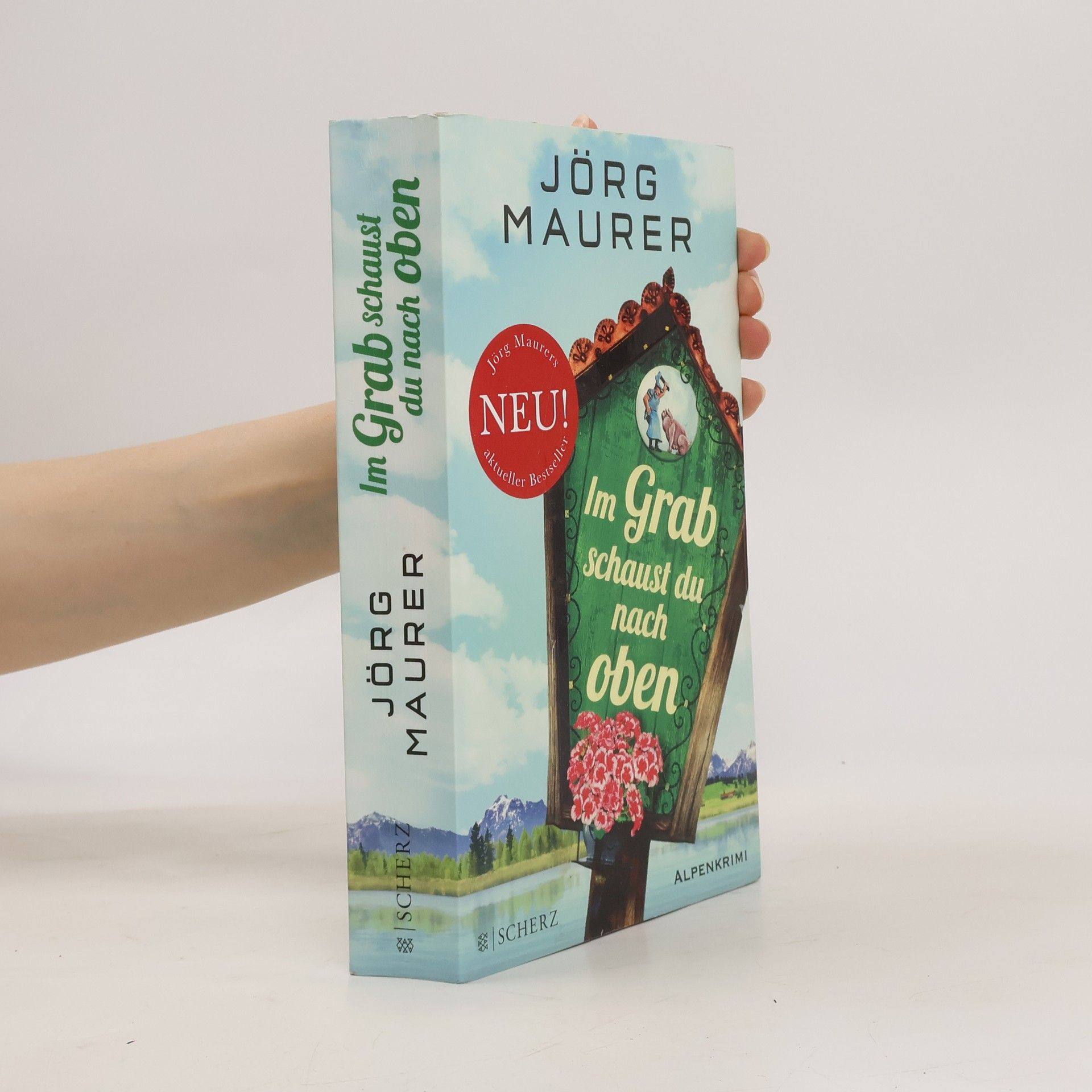 Jörg Maurer Im Grab schaust du nach oben