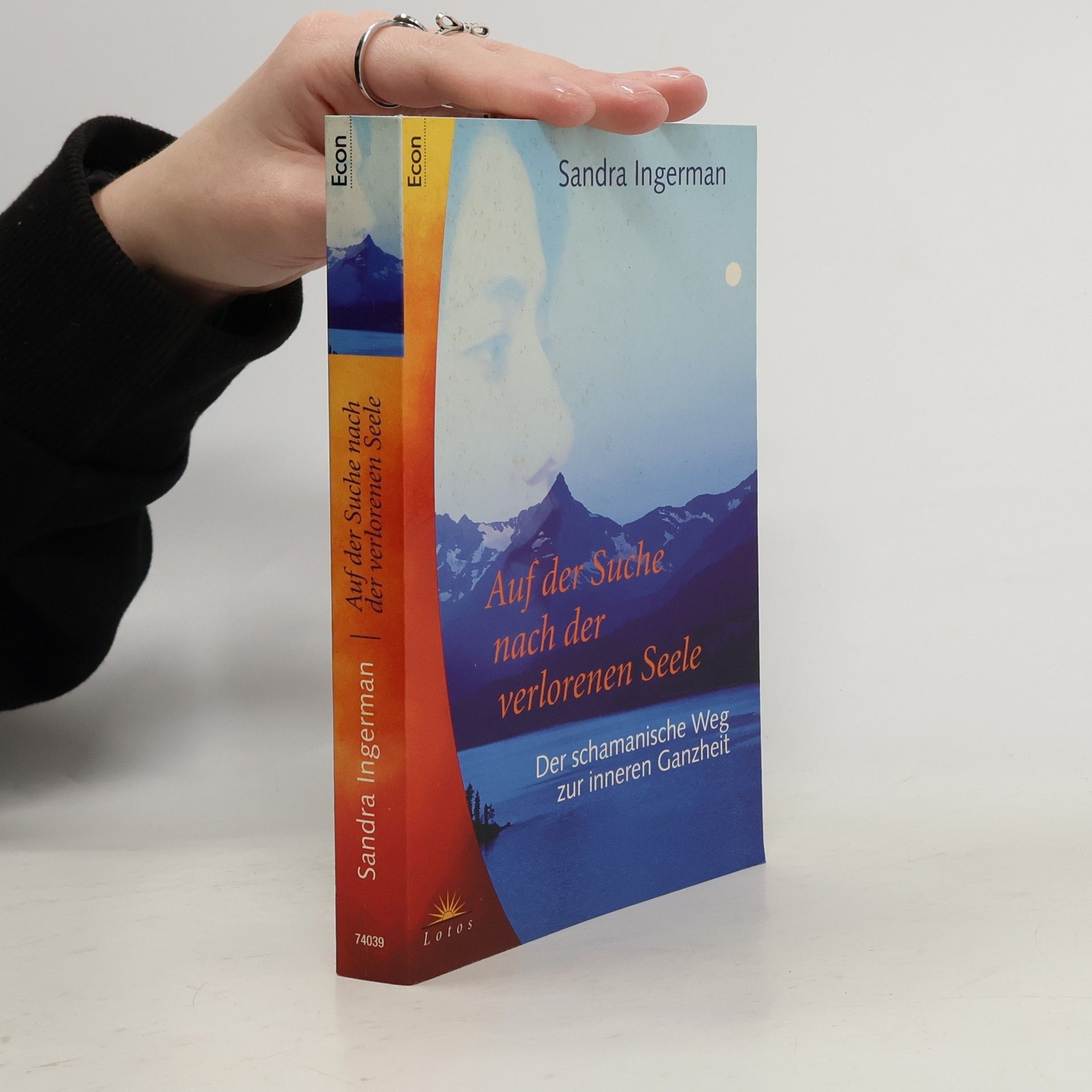 Sandra Ingerman Auf der Suche nach der verlorenen Seele