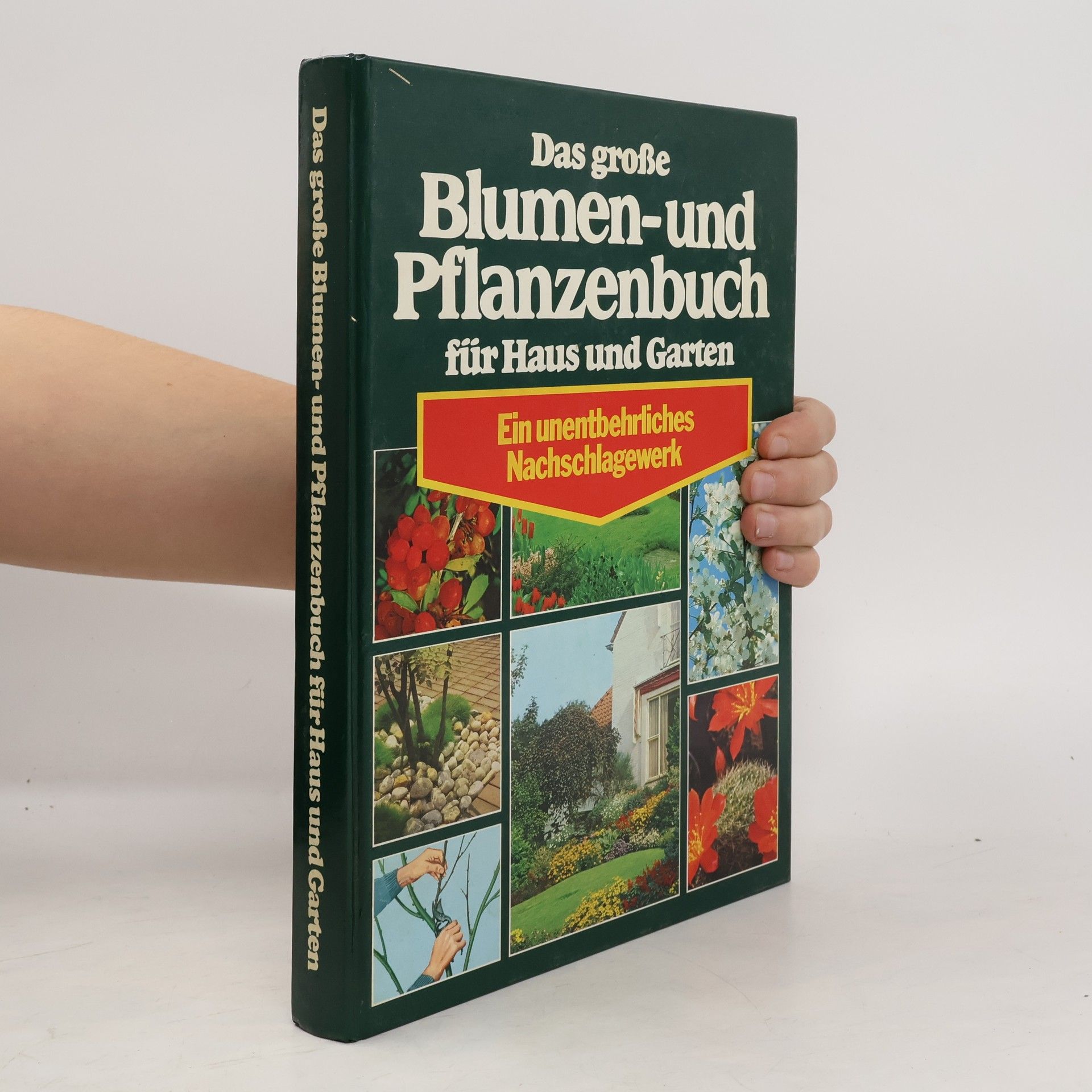 Autorenkollektiv Das große Blumen- und Pflanzenbuch für Haus und Garten
