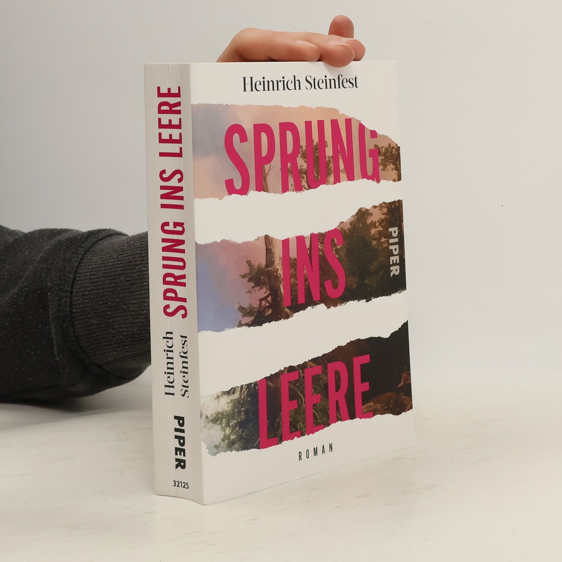 Heinrich Steinfest Sprung ins Leere