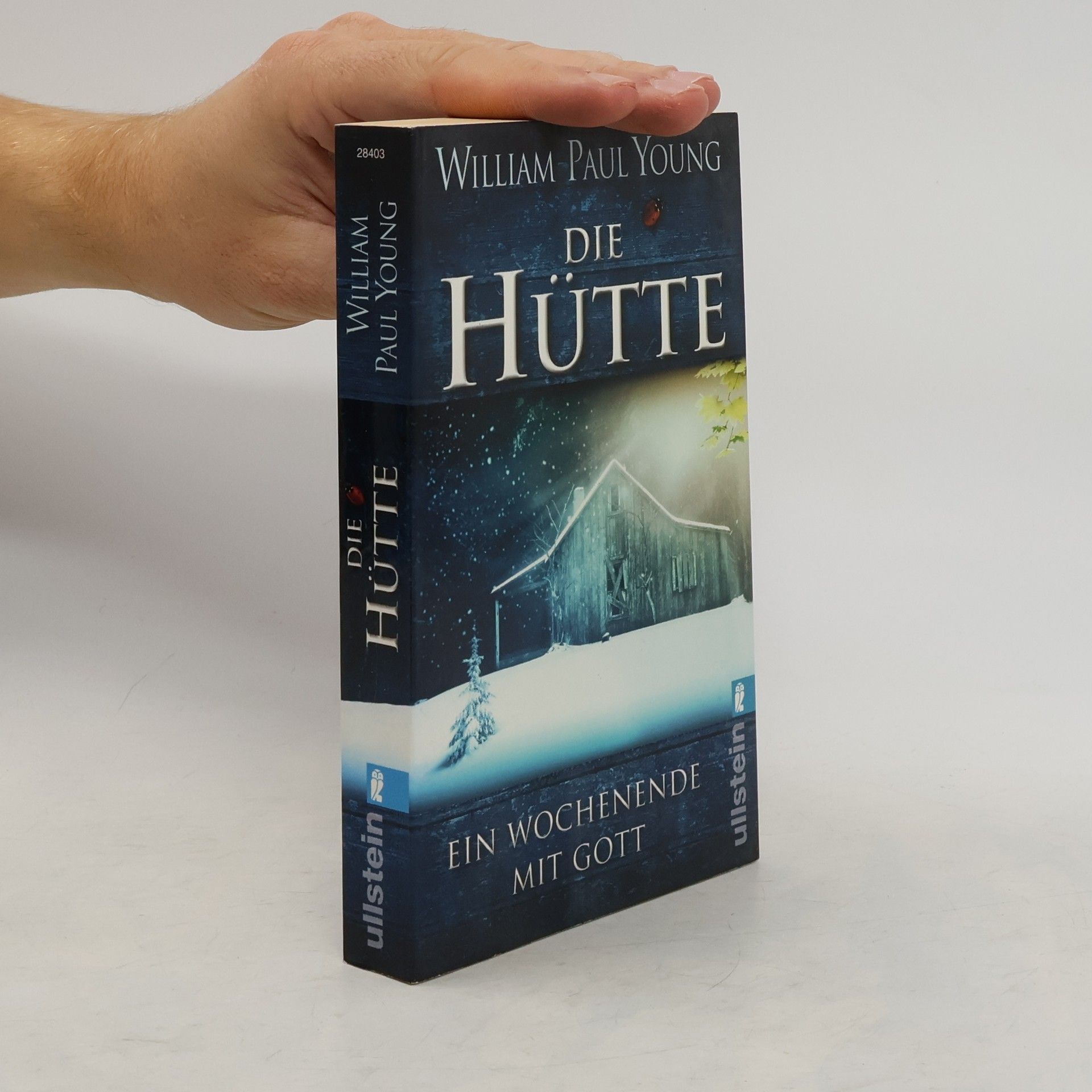 William P. Young Die Hütte