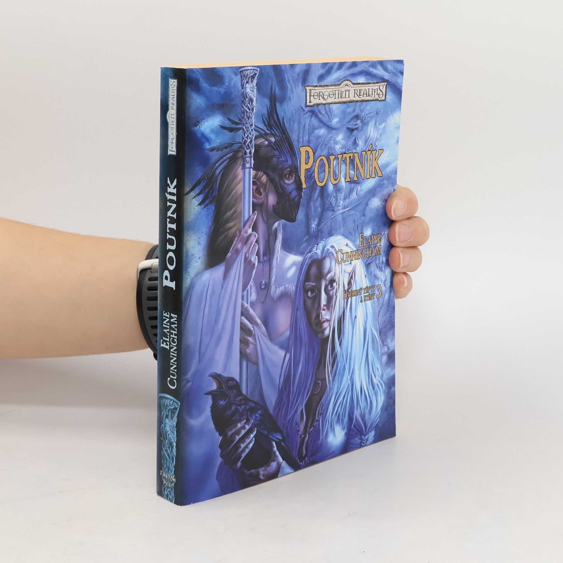 Elaine Cunningham Poutník. Hvězdný třpyt a stíny (3. díl)