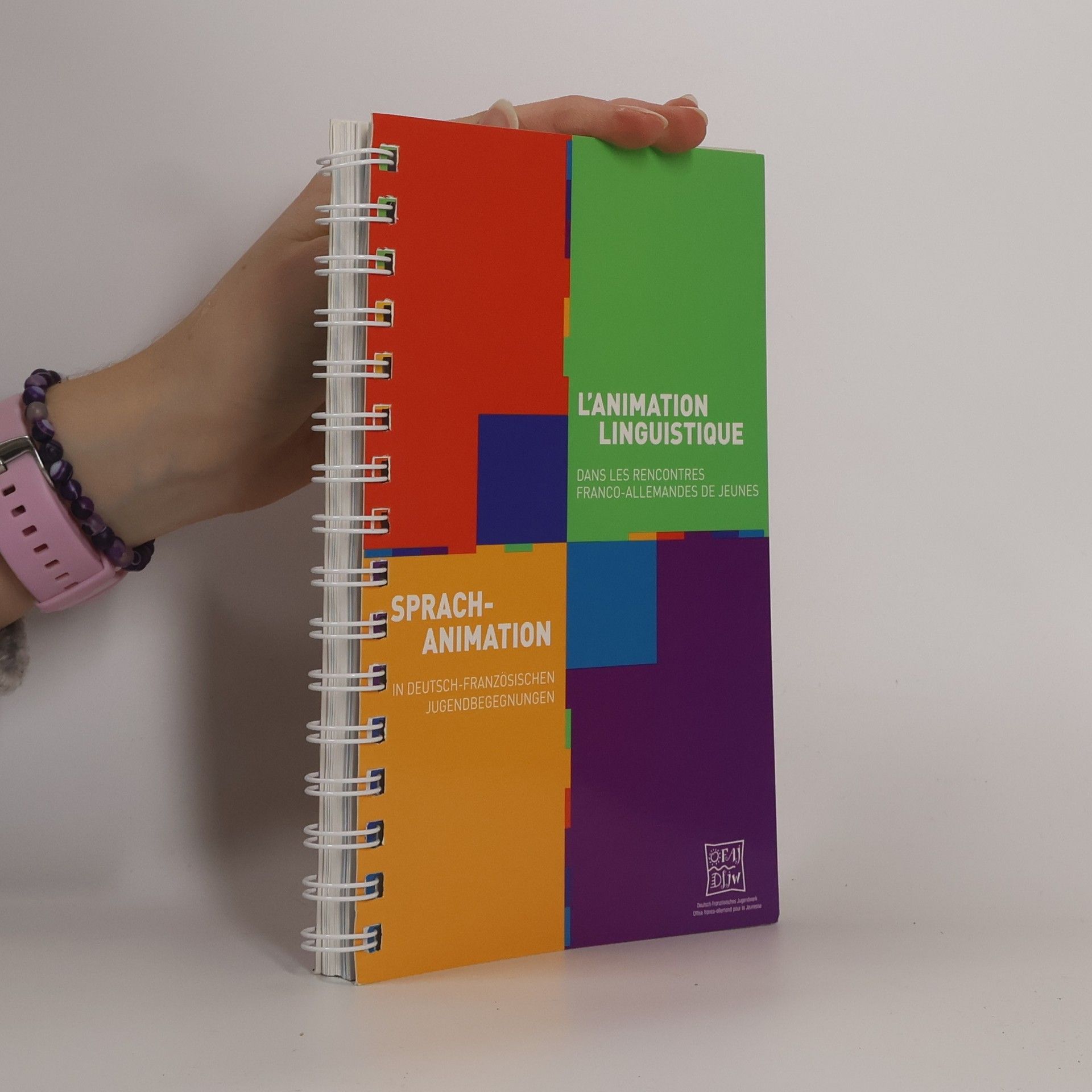 Collectif d'auteurs L'animation linguistique dans les rencontres franco-allemandes de jeunes