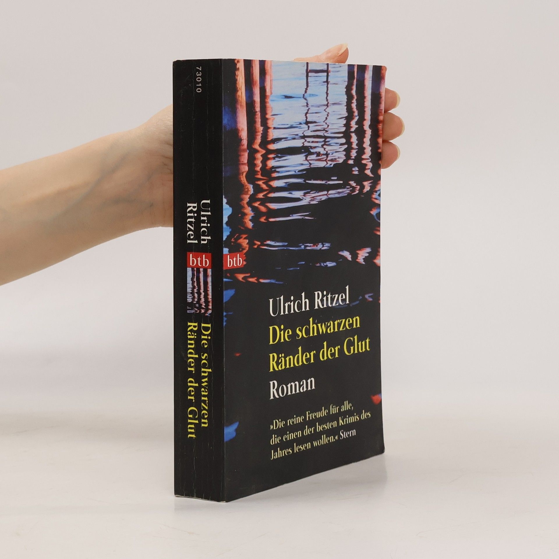 Die schwarzen Ränder der Glut : Roman