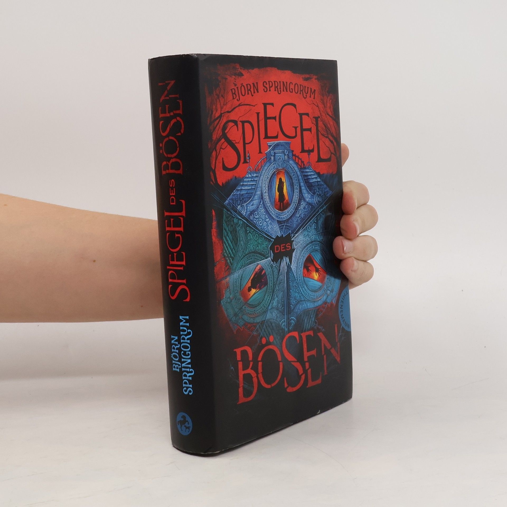 Björn Springorum Spiegel des Bösen