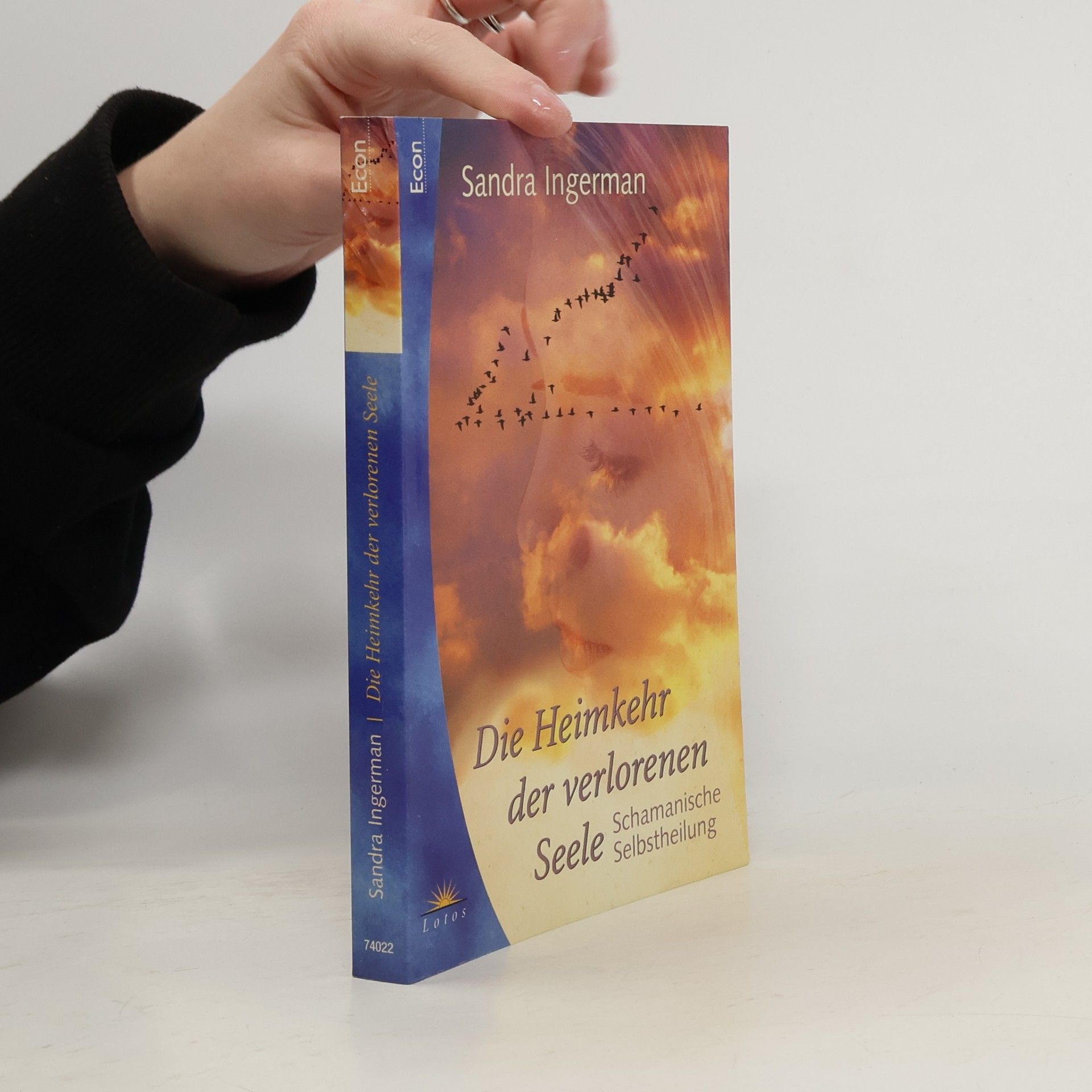 Sandra Ingerman Die Heimkehr der verlorenen Seele