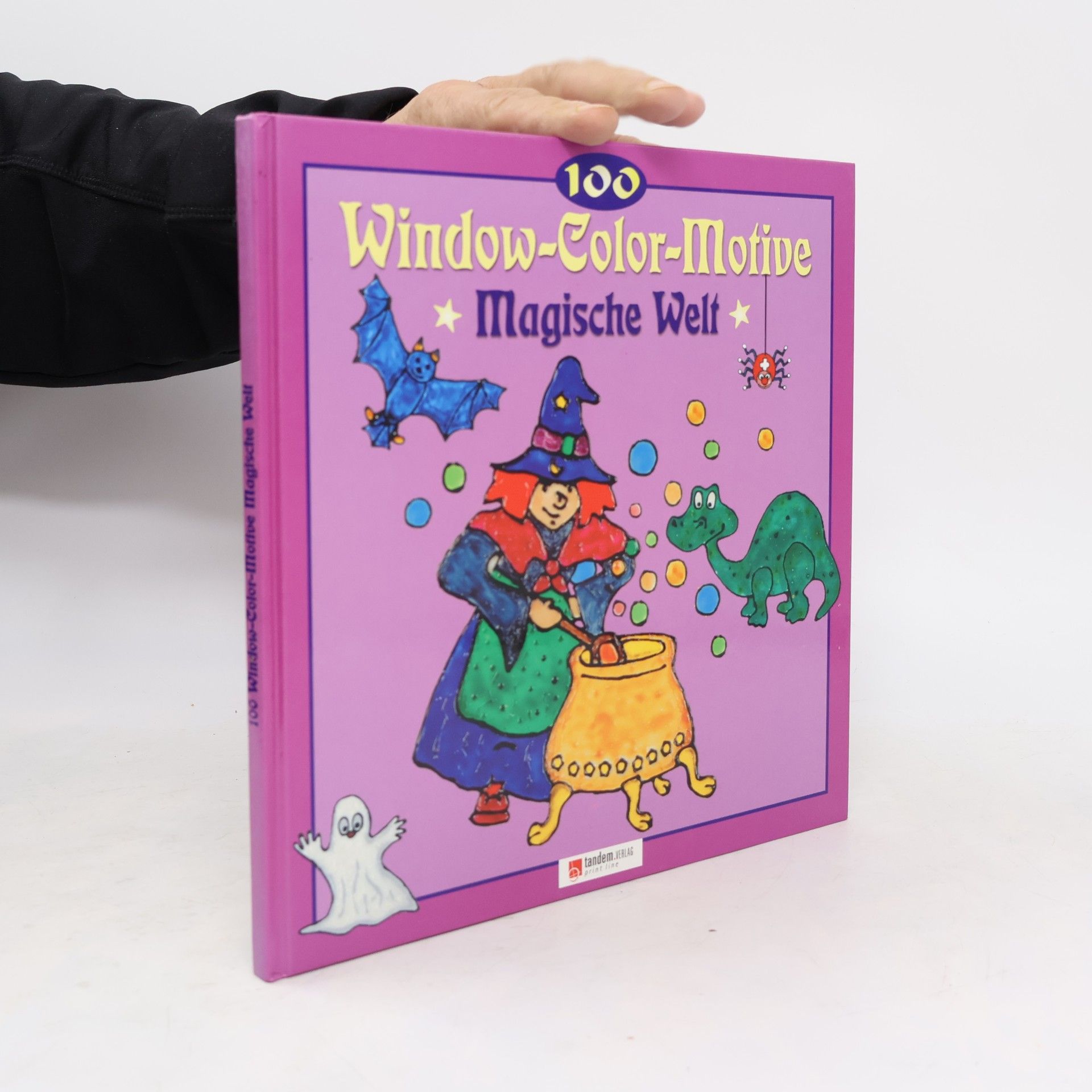 Autores varios 100 Window-Color-Motive. Magische Welt